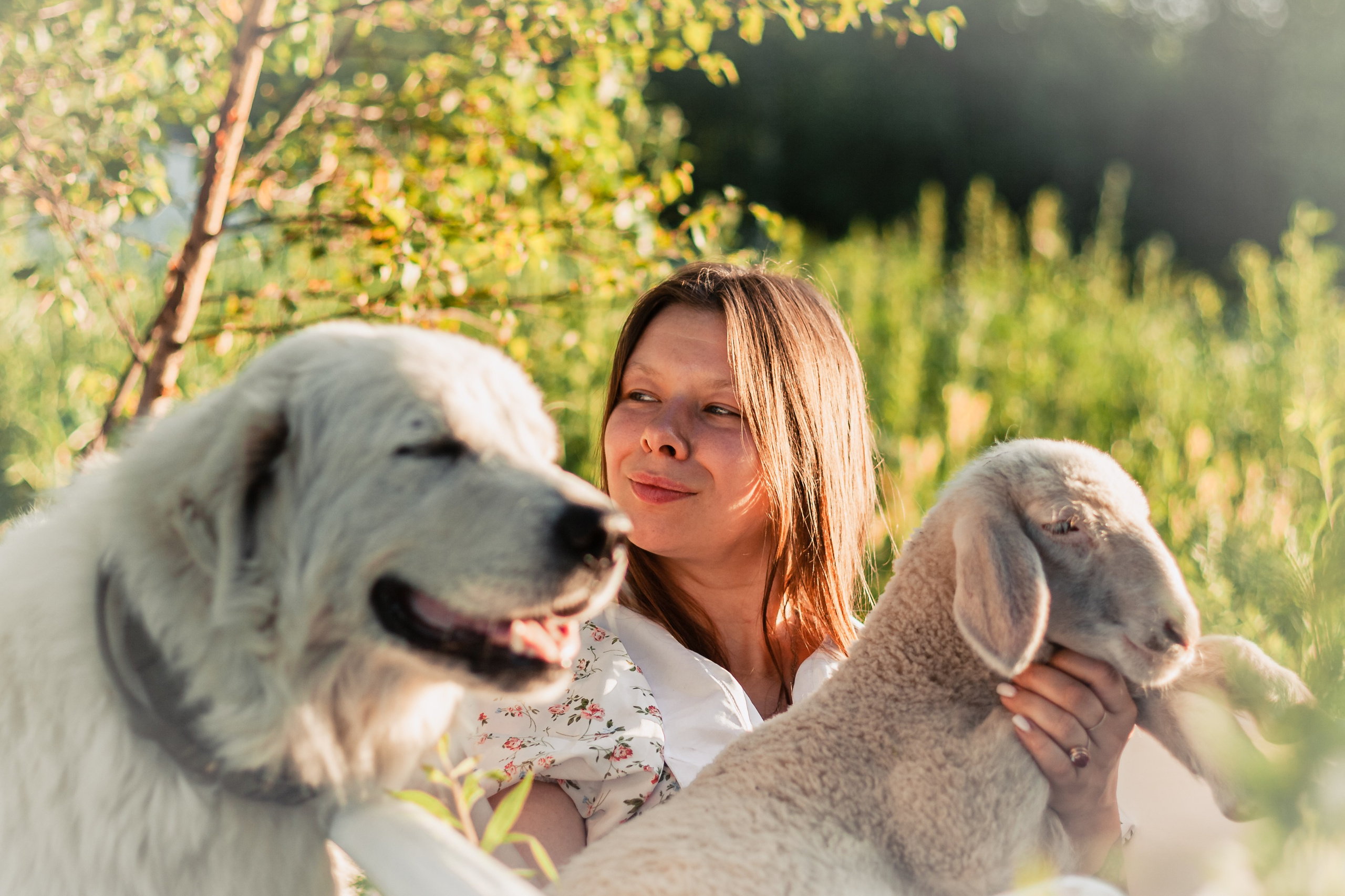Ванна в поле. Фотограф-анималист Татьяна Степанова