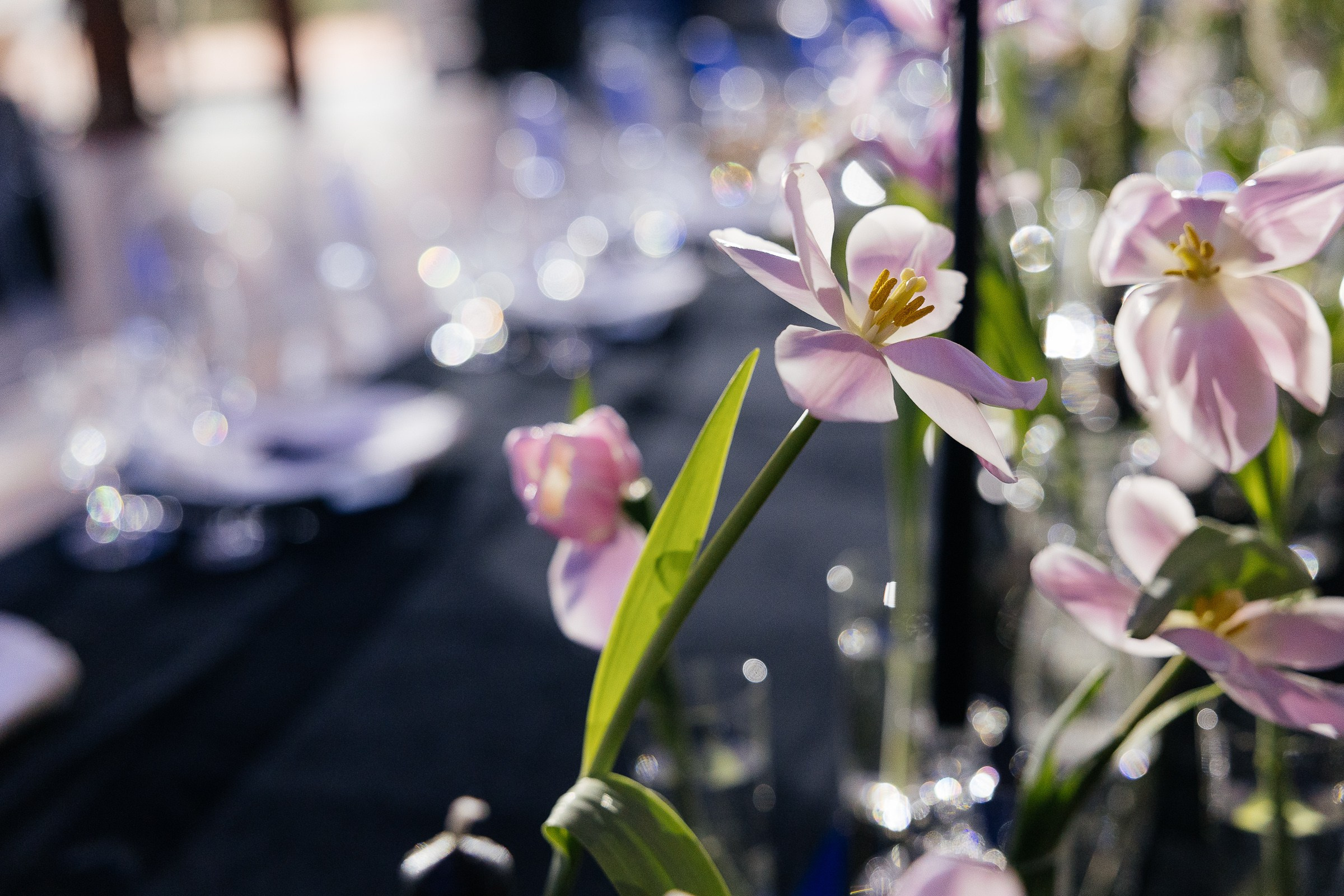 Свадебные истории. Свадебный фотограф в Ростове-на-Дону Васильченко Сергей