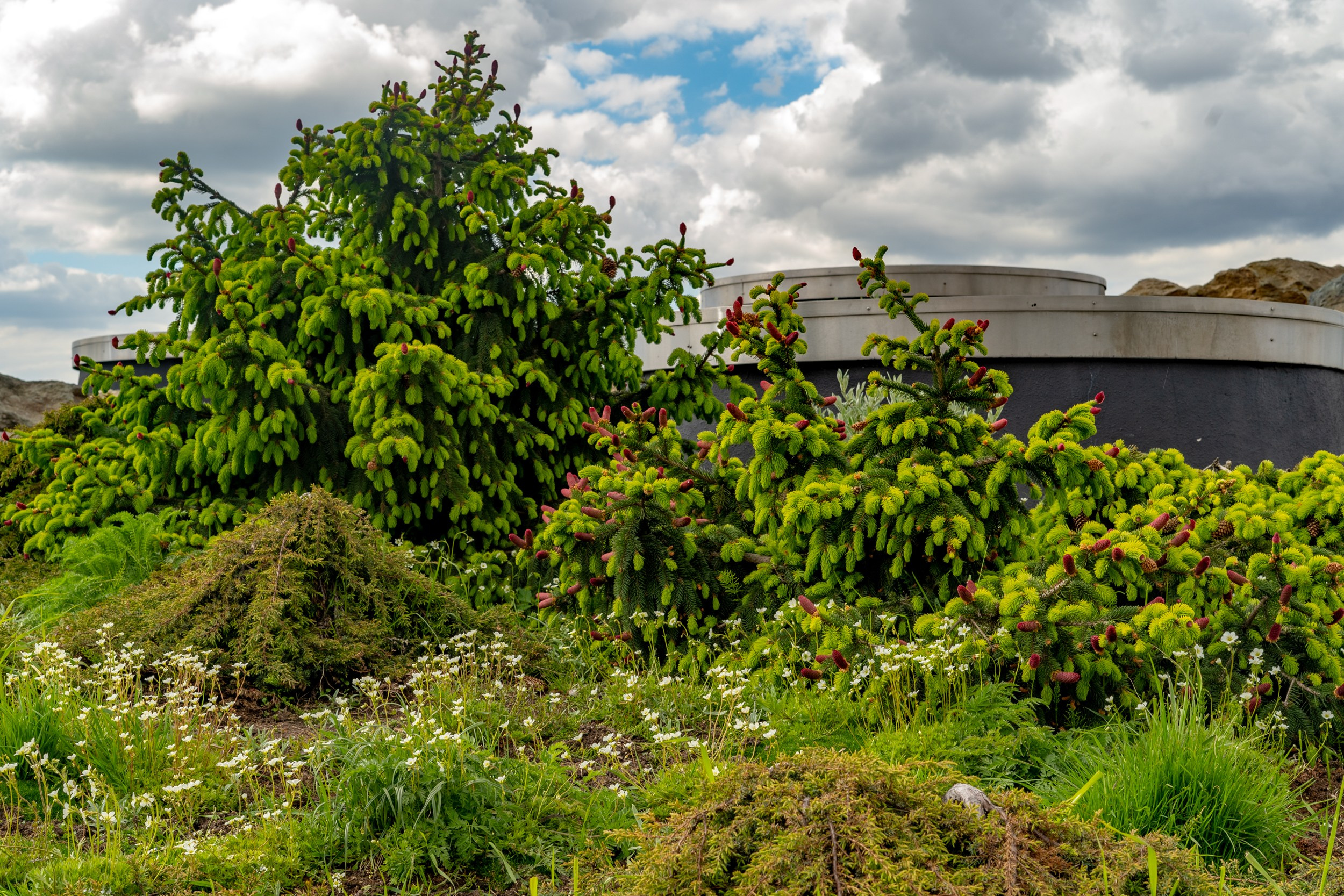 Город. Фотограф Екатерина Зорина