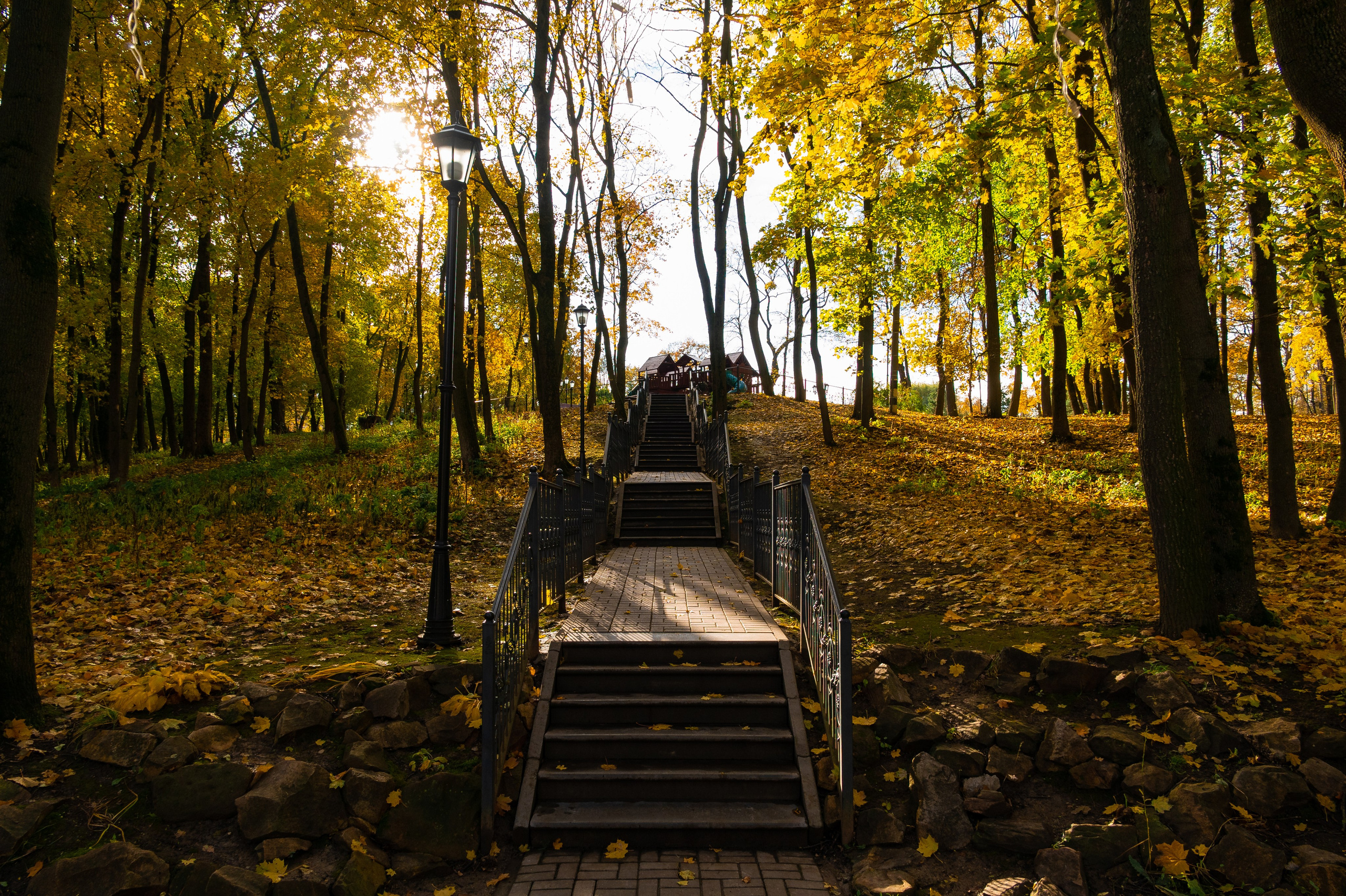 Платоновский парк. Фотограф и видеооператор в Туле | Даниил Рыбак