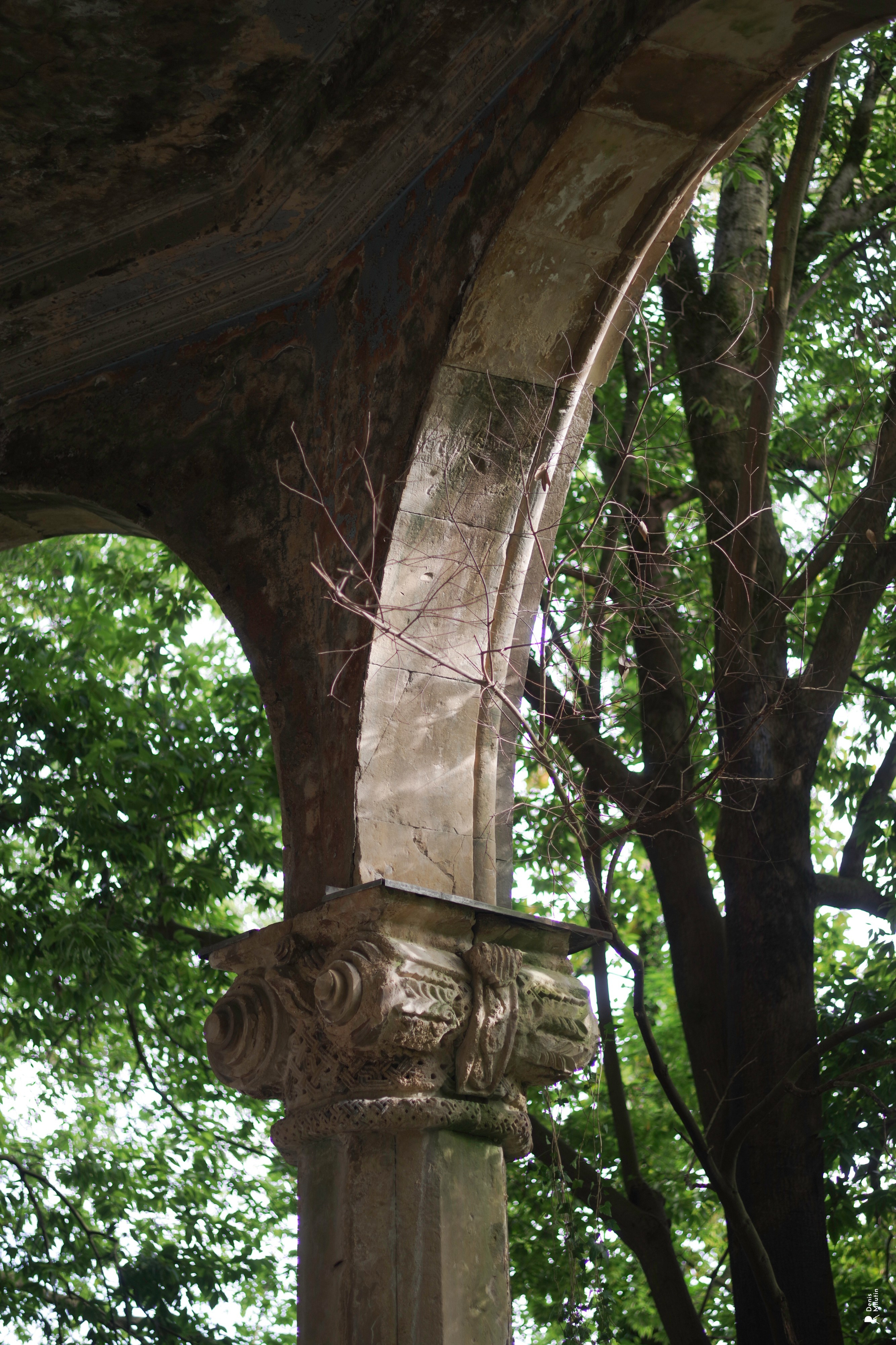 В отпуске с Артёмом. Портретный фотограф Денис Милютин