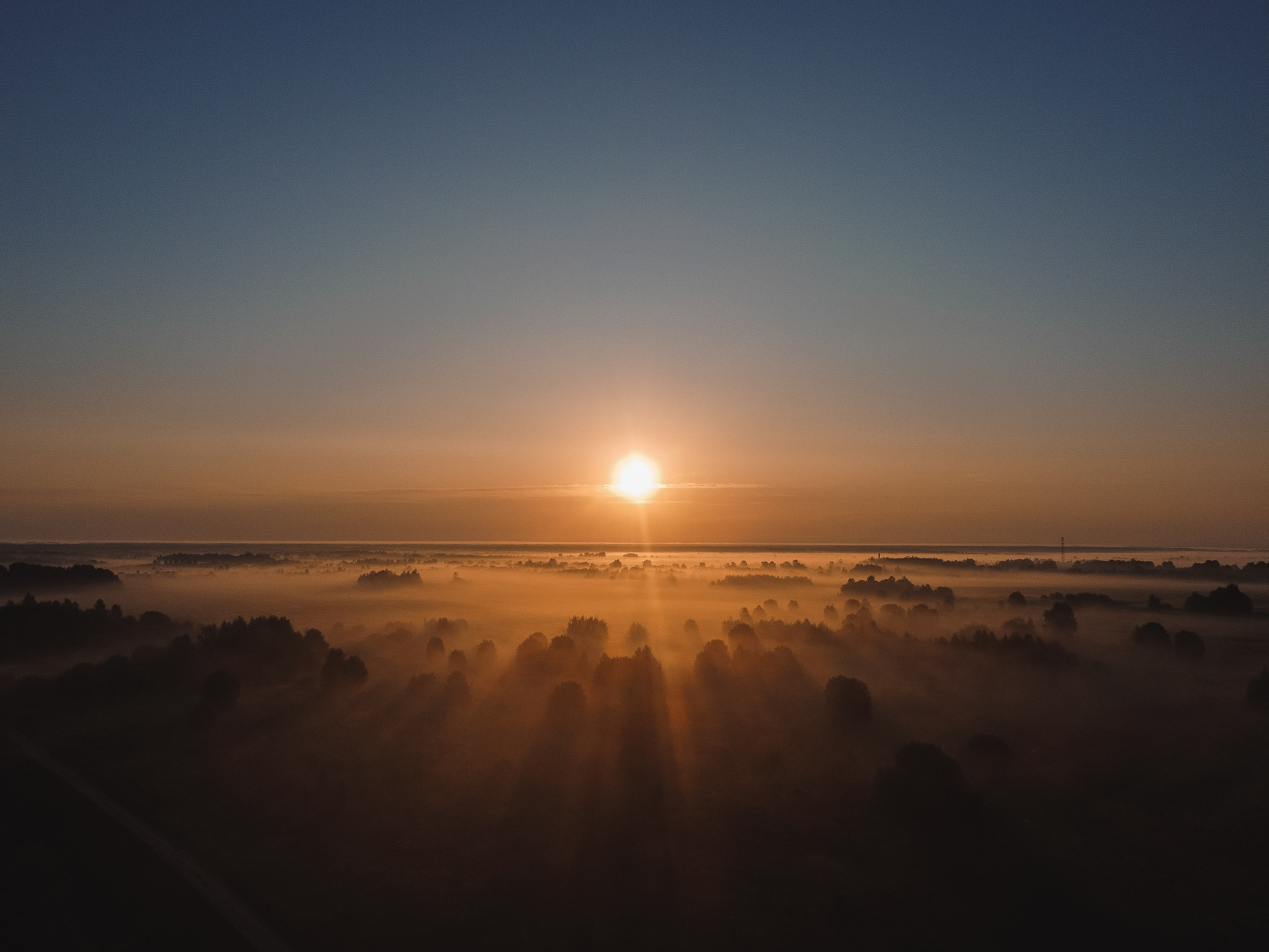 Поле, ранее утро, рассвет, туман