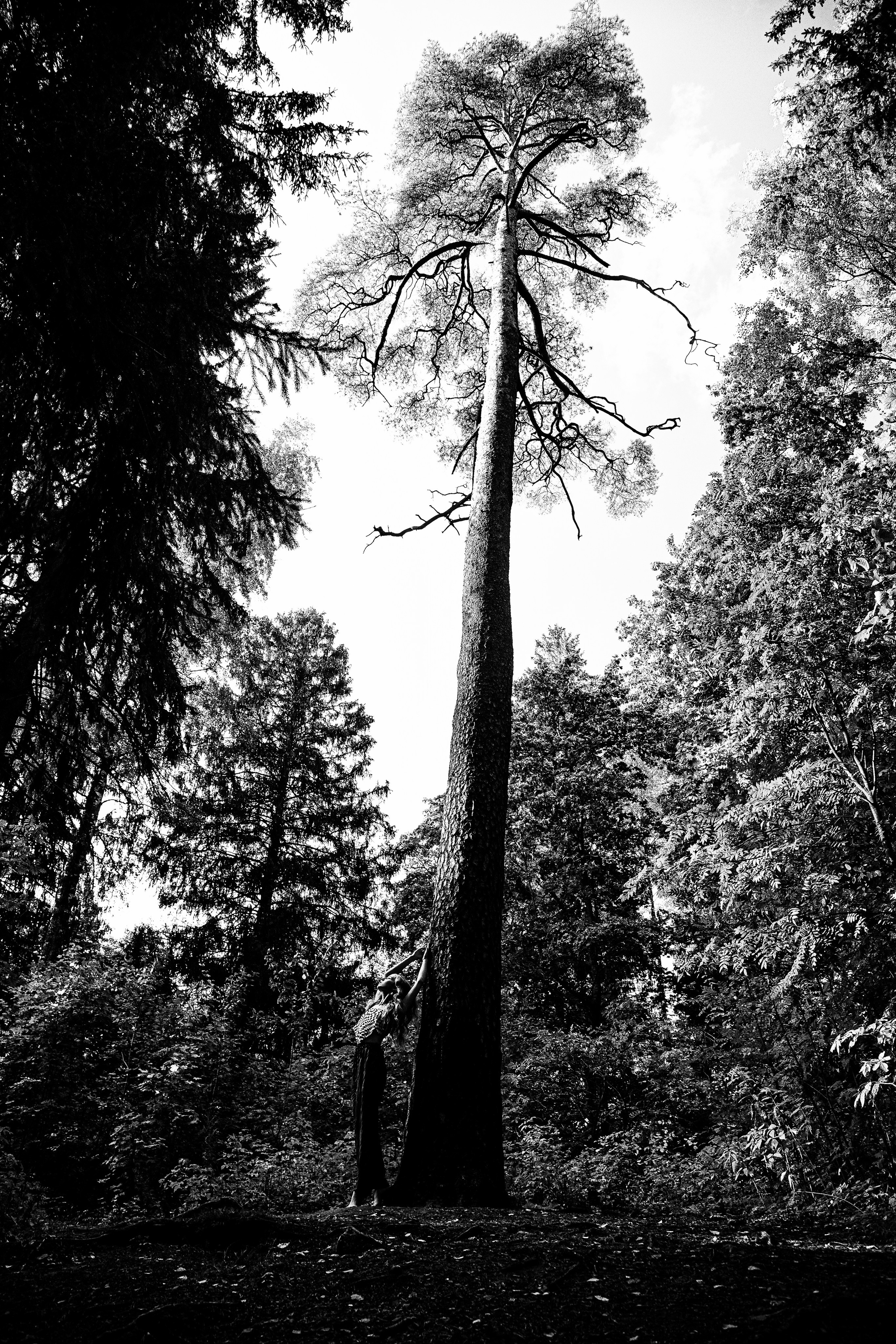 Яра. Черно-белый фотограф Дмитрий Пчелкин