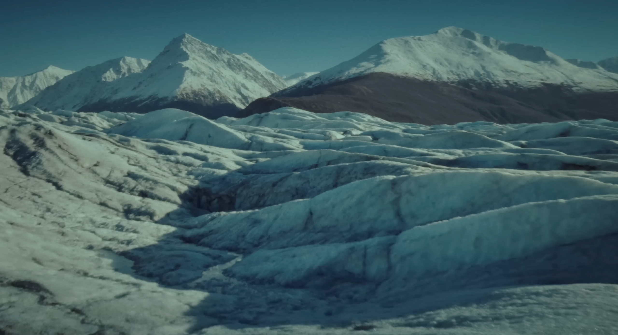 My transformation or how I became homeless in the USA. Tokcolor