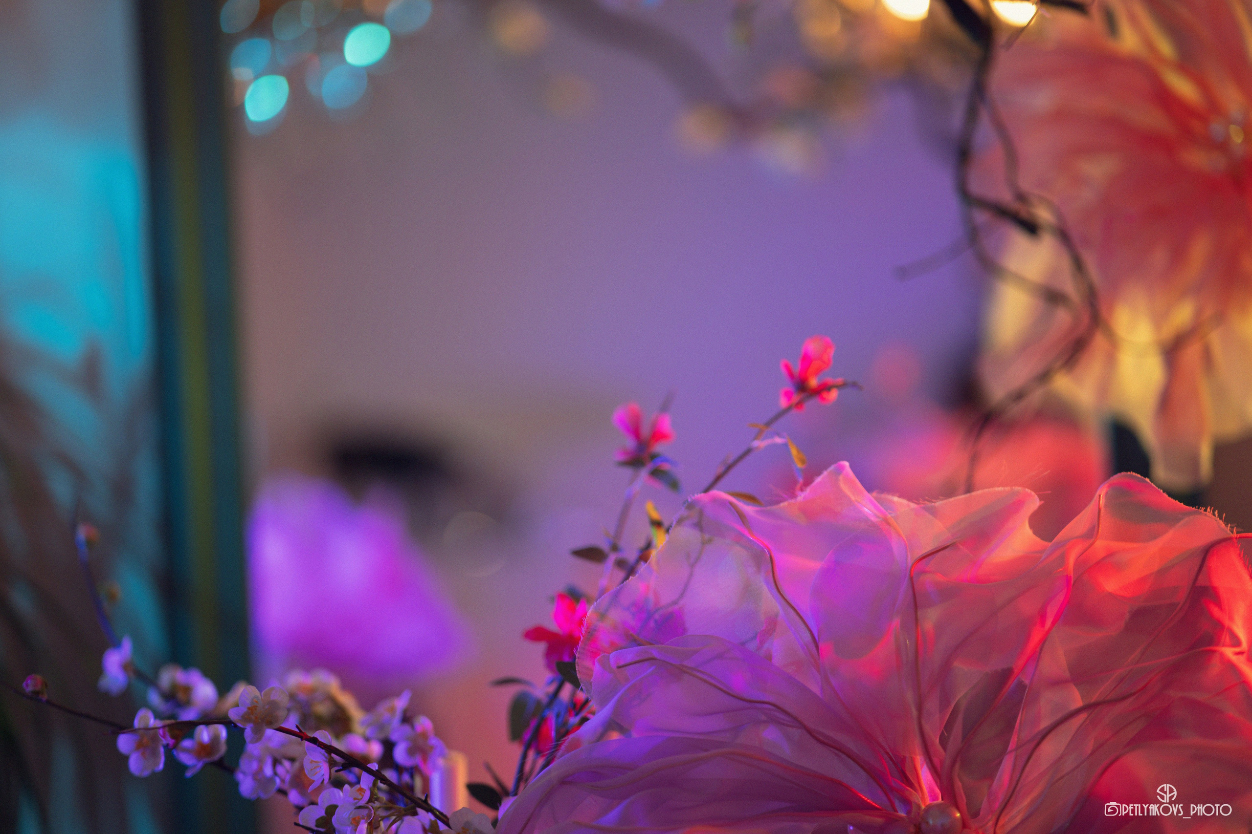 Индивидуальная фотосессия для Райган. Фотограф, видеограф Пятигорск, Ставрополь, Ессентуки, Petlyakovs_photo