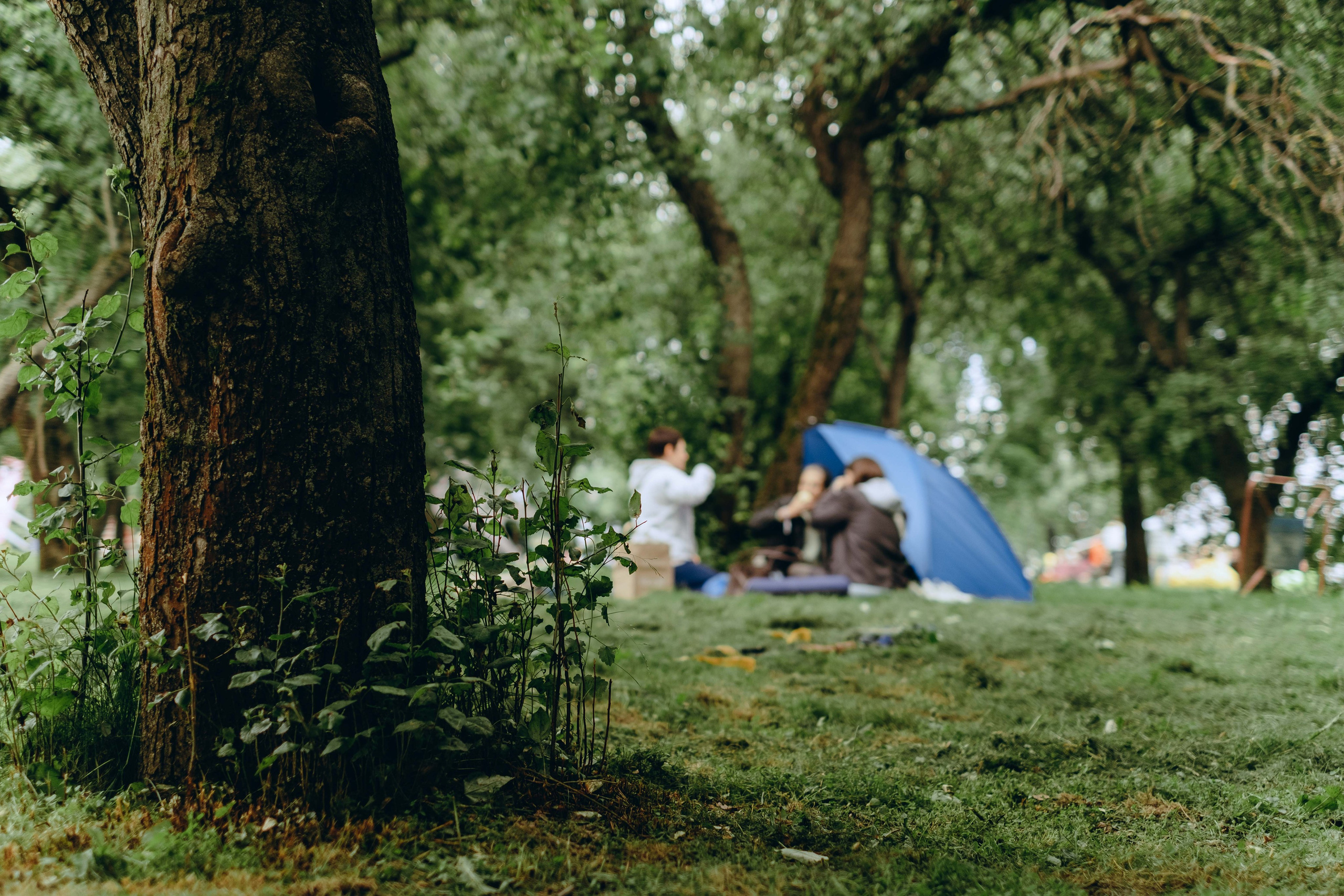 XI Международный день Йоги в Москве. Фотограф Аннё| Москва