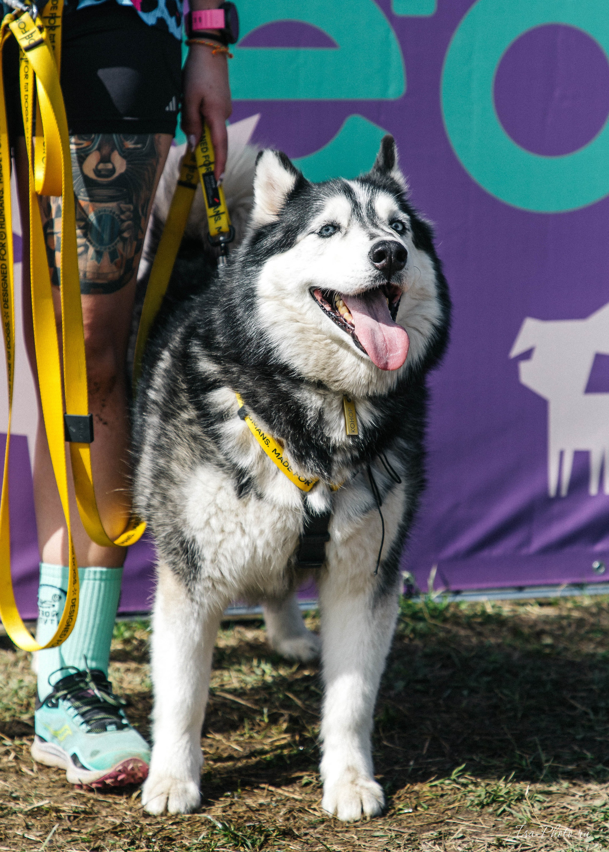 Кросс «Быстрый пёс» 2025. Репортажный фотограф в Москве