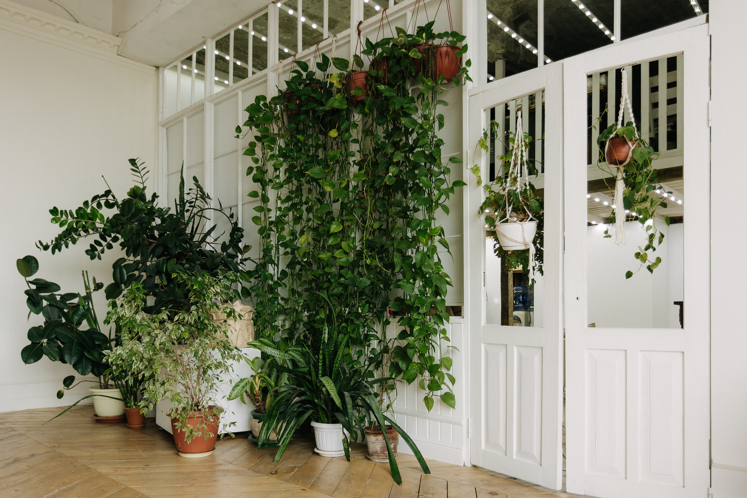 Дача-лофт, Дача. Свадебный семейный и детский фотограф в Краснодаре Карина Федоровская