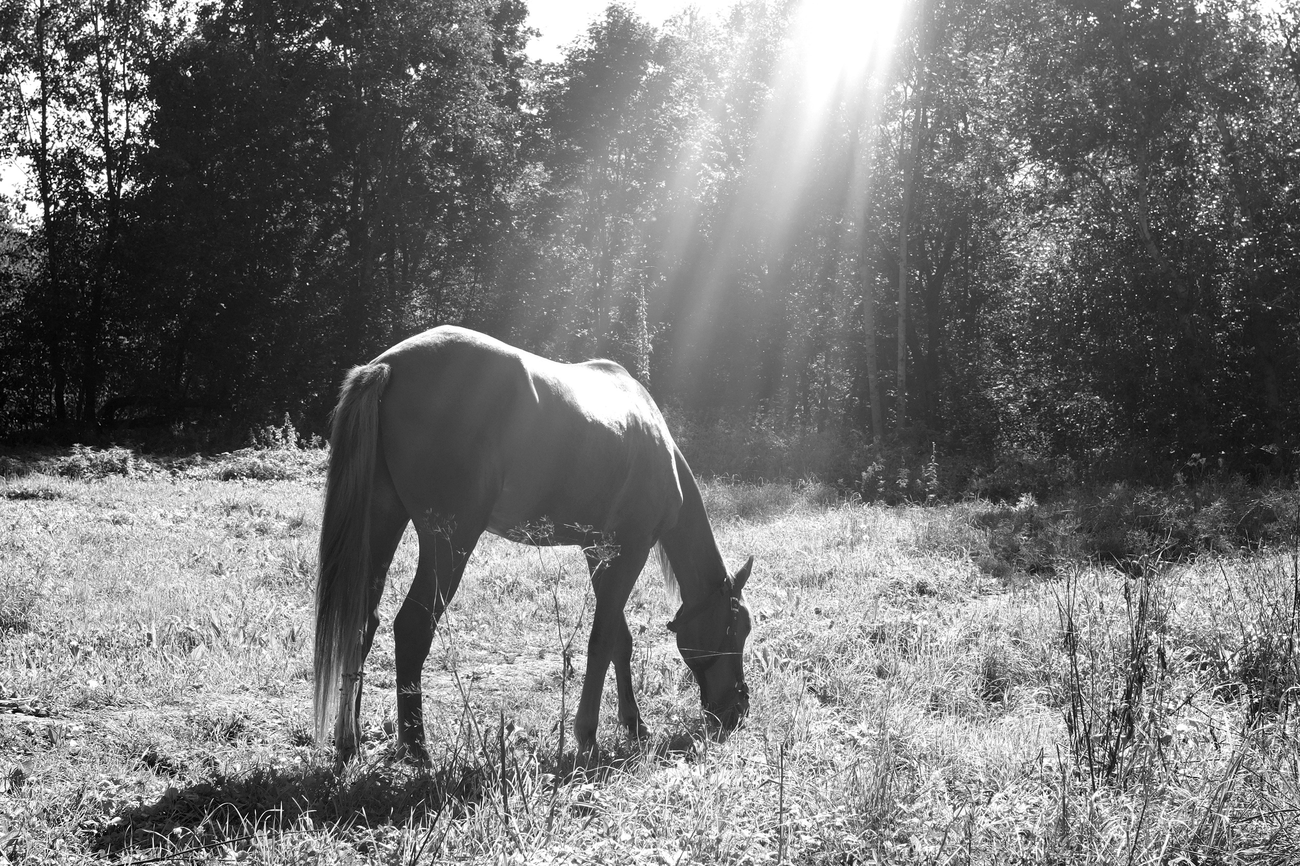 Городской вуайеризм. Репортажный фотограф в Санкт-Петербурге Даниил Могута