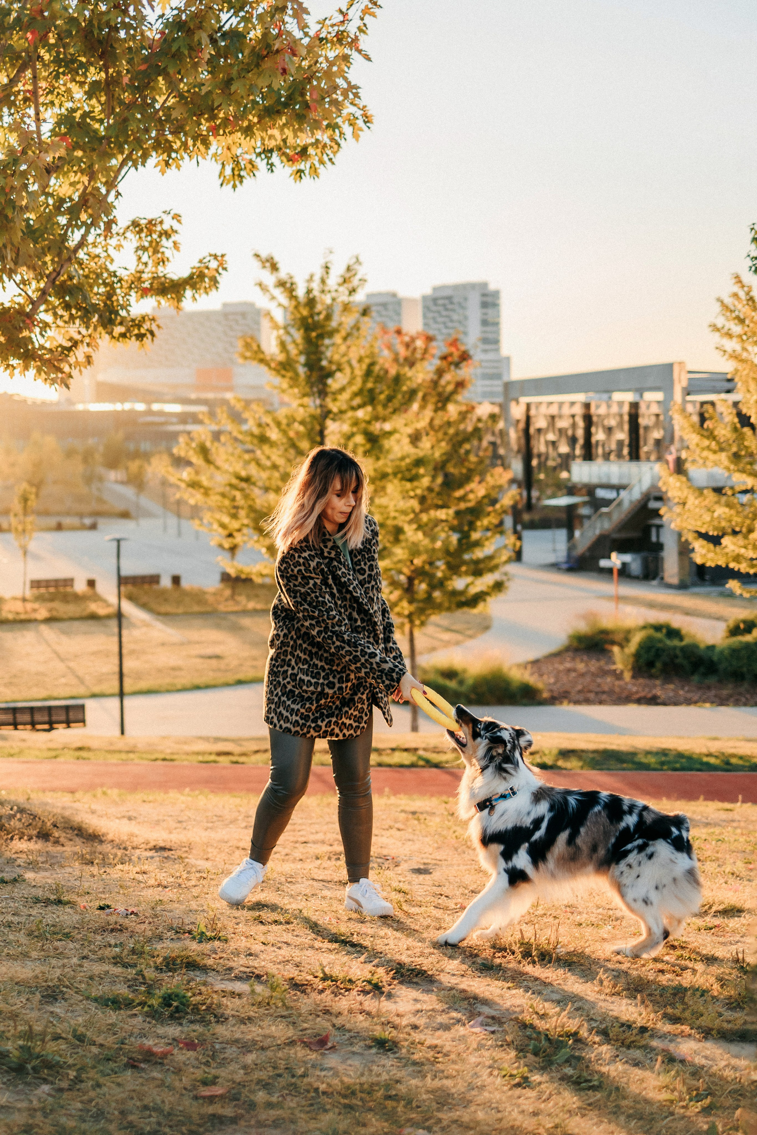 Аня, Чарли и Ева. Фотограф-анималист Елена Радченко, Москва