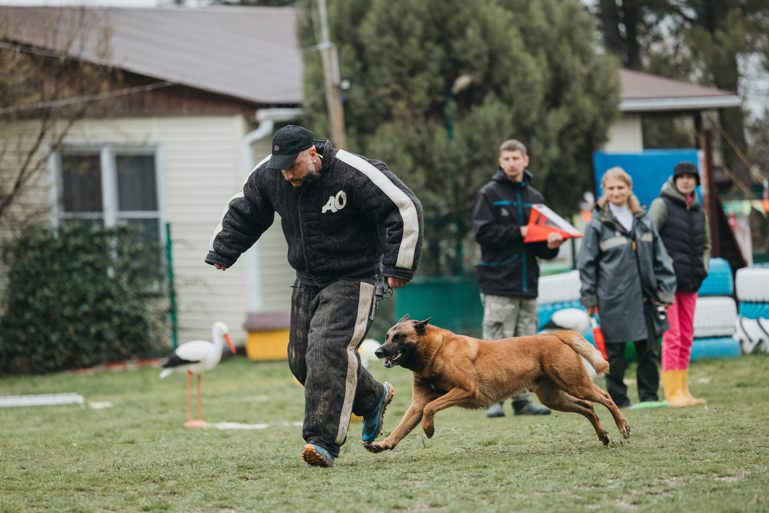 Геленджик Мондьоринг. Фотограф-анималист Анна Маринич