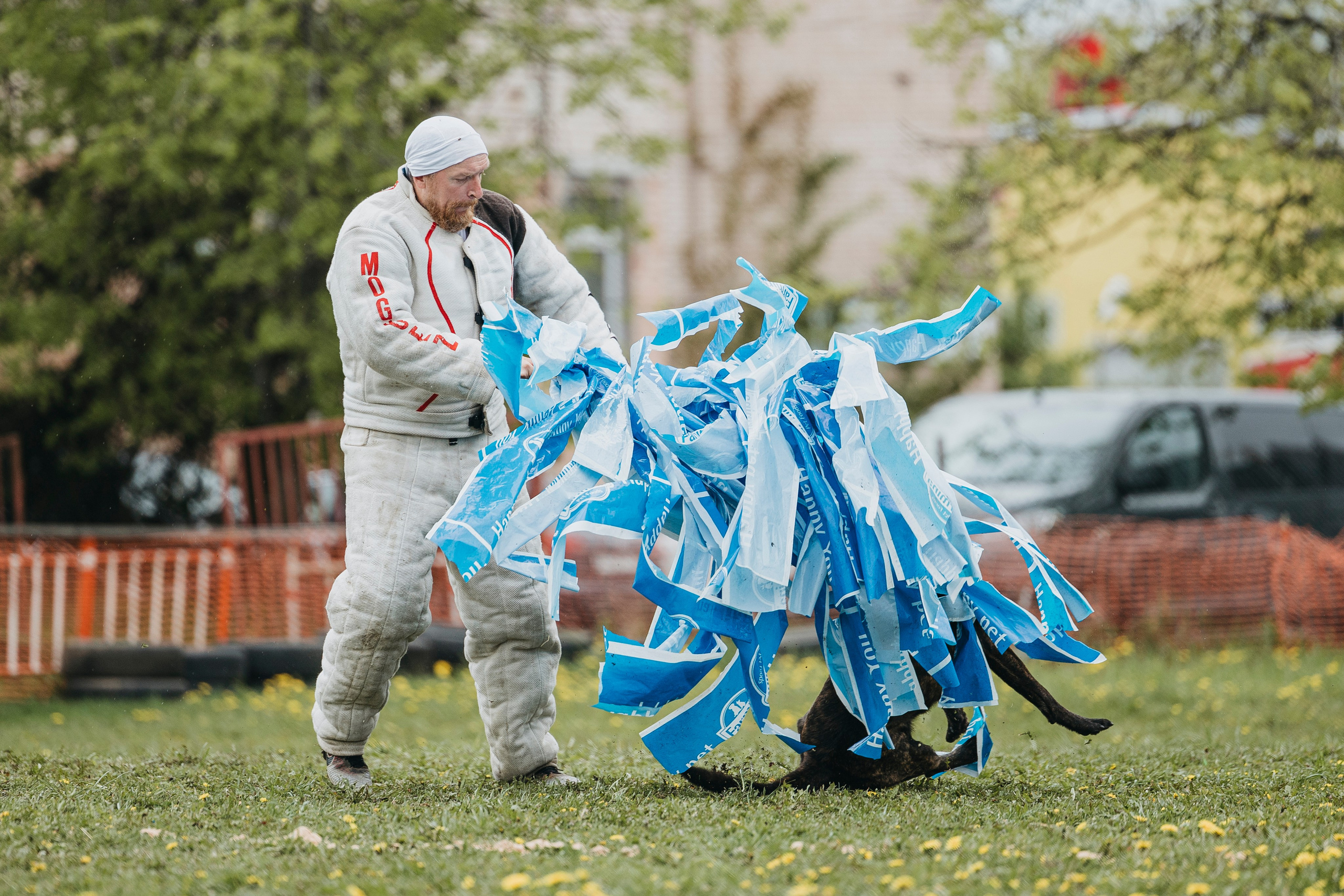 26.05.25 г. Пушкин квалификационные соревнования. Фотограф-анималист Анна Маринич