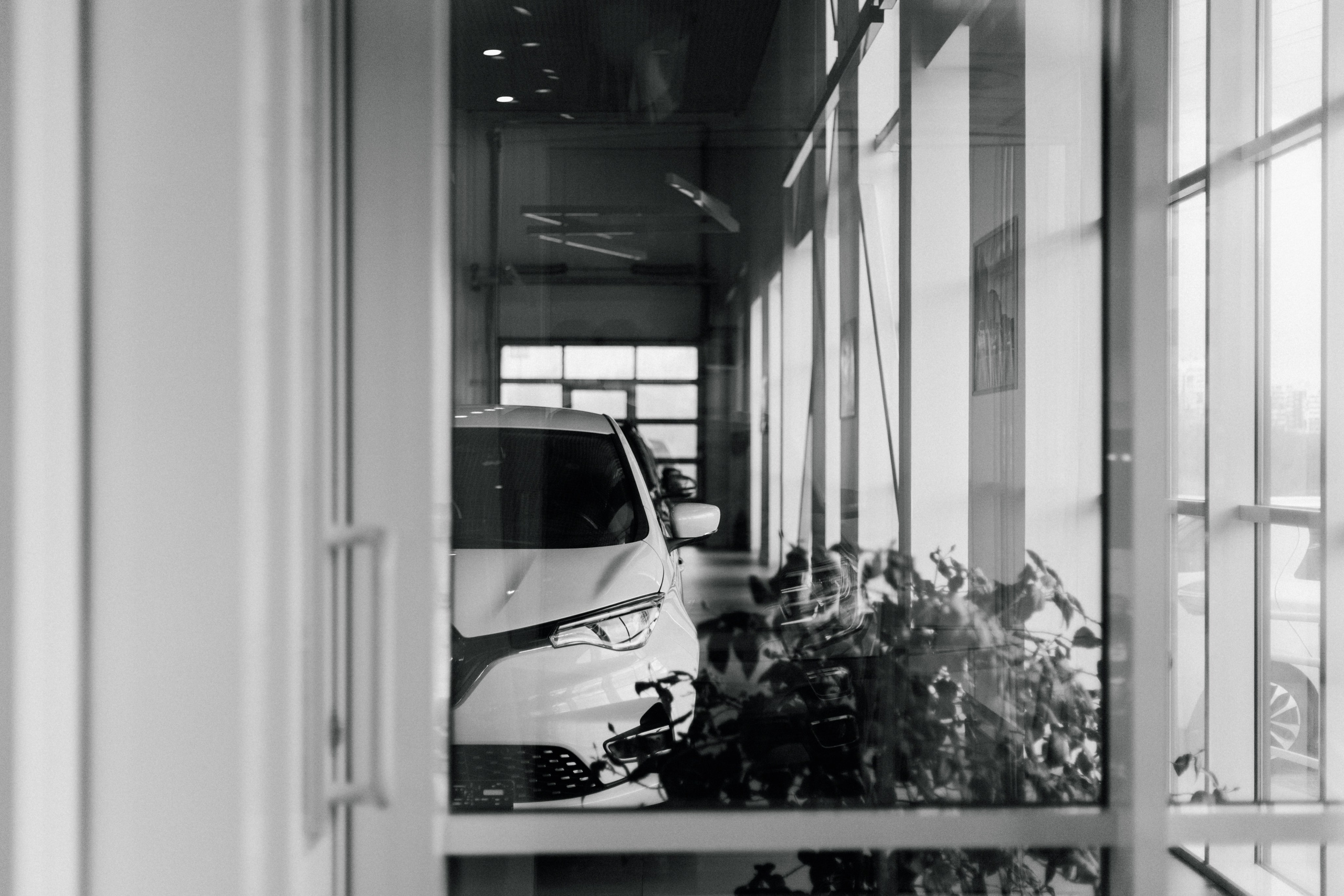 ДЕНЬ ЗАЩИТЫ ПРЕДПРЕНИМАТЕЛЕЙ. СВОИ. ФОТООТЧЕТЫ-СОБЫТИЯ-МЕСТА