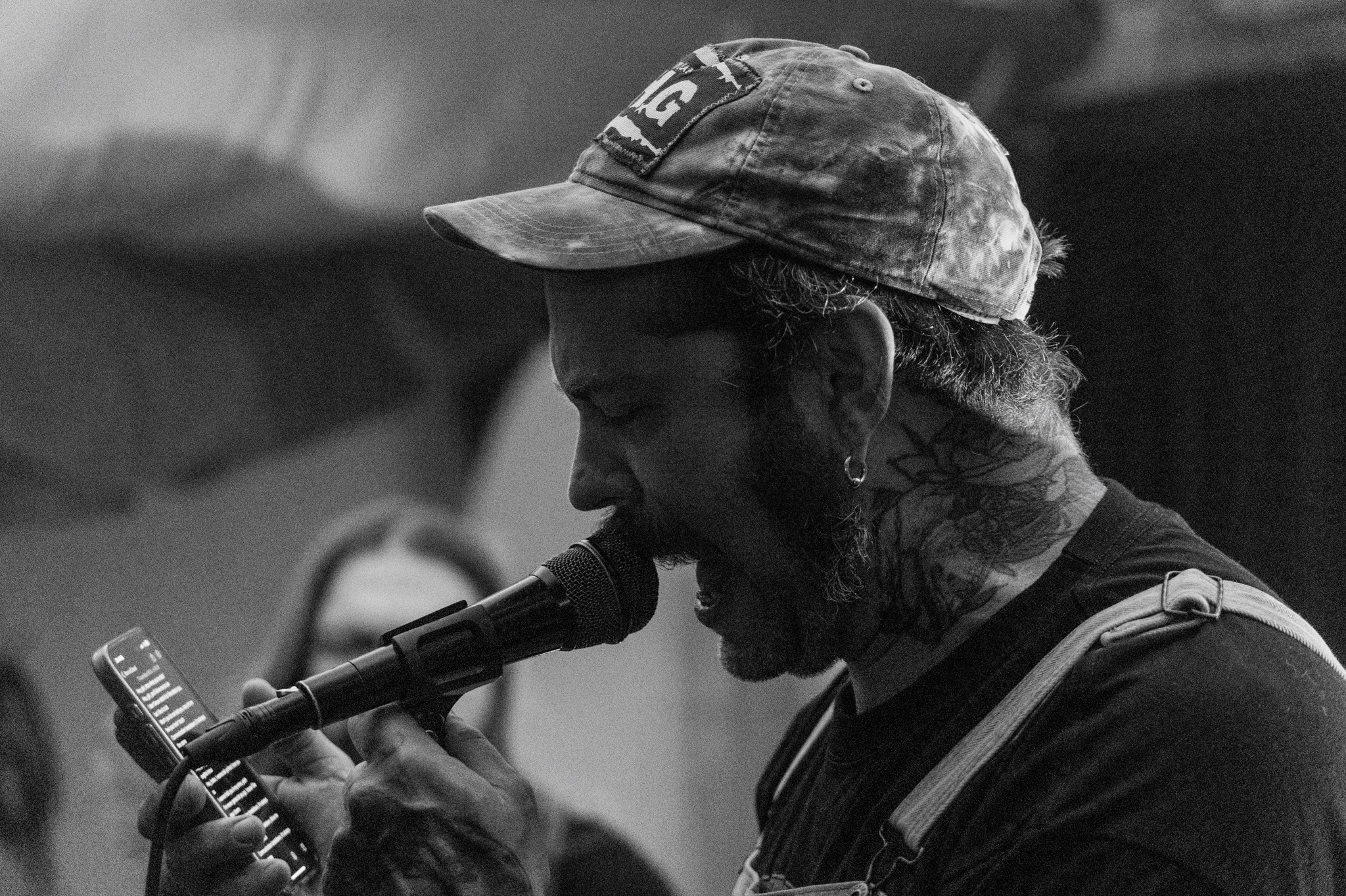 Змееед, Apodemus, 20.12.25, TAGO)))MAGO)))