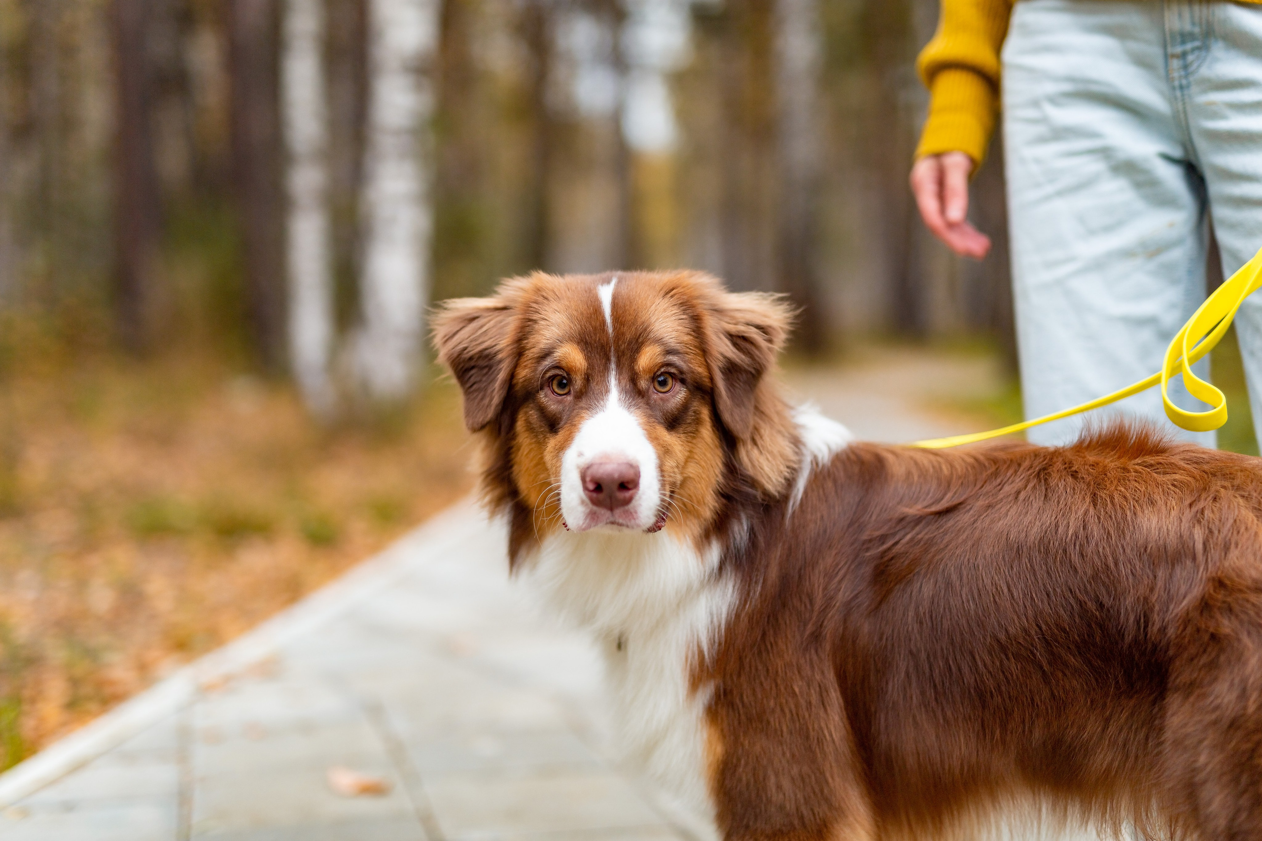 Профессиональный фотограф Верхняя Пышма. Семейный фотограф в Екатеринбурге