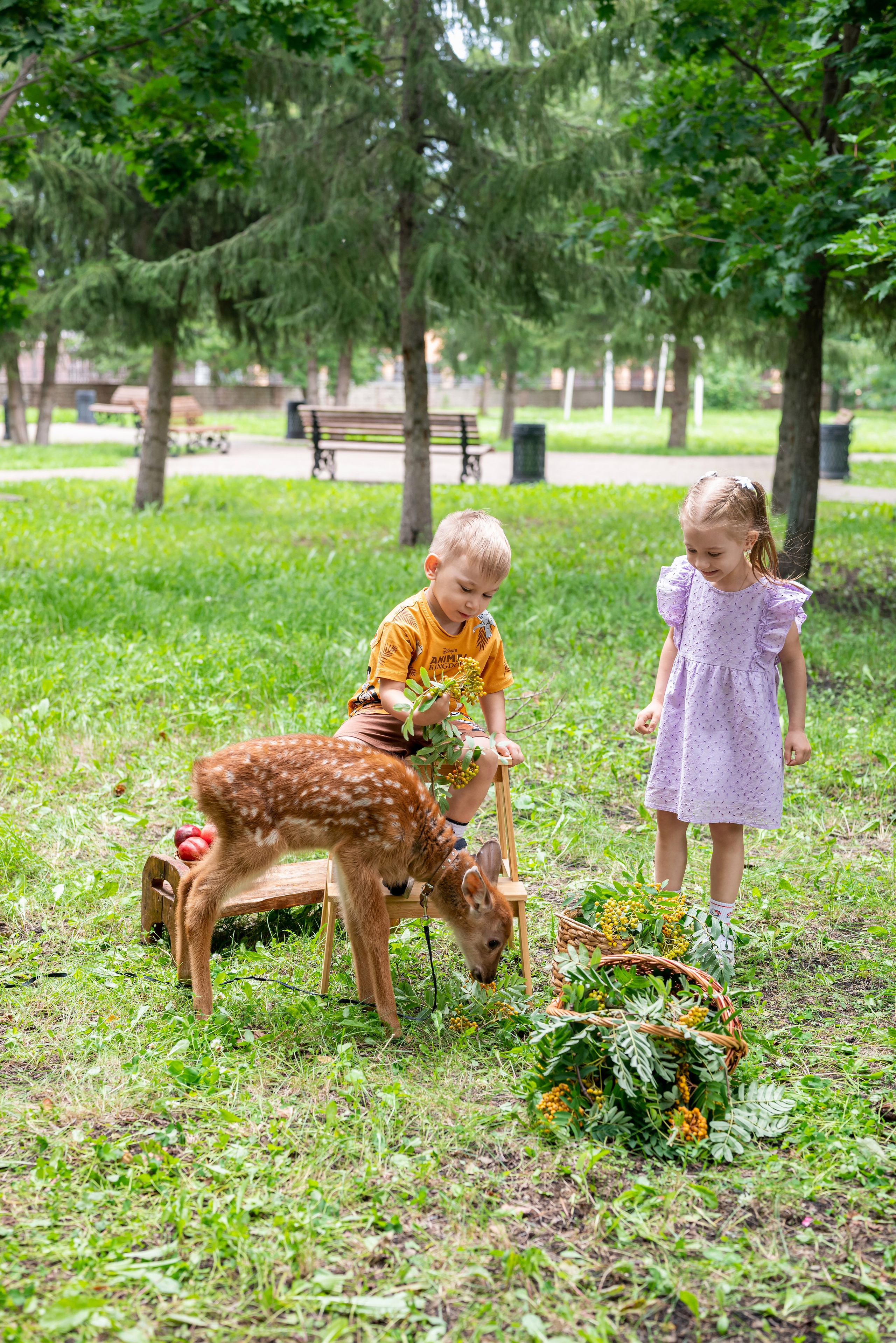 Фотопроект *Оленёнок Бэмби*. Фотограф в городе Салават