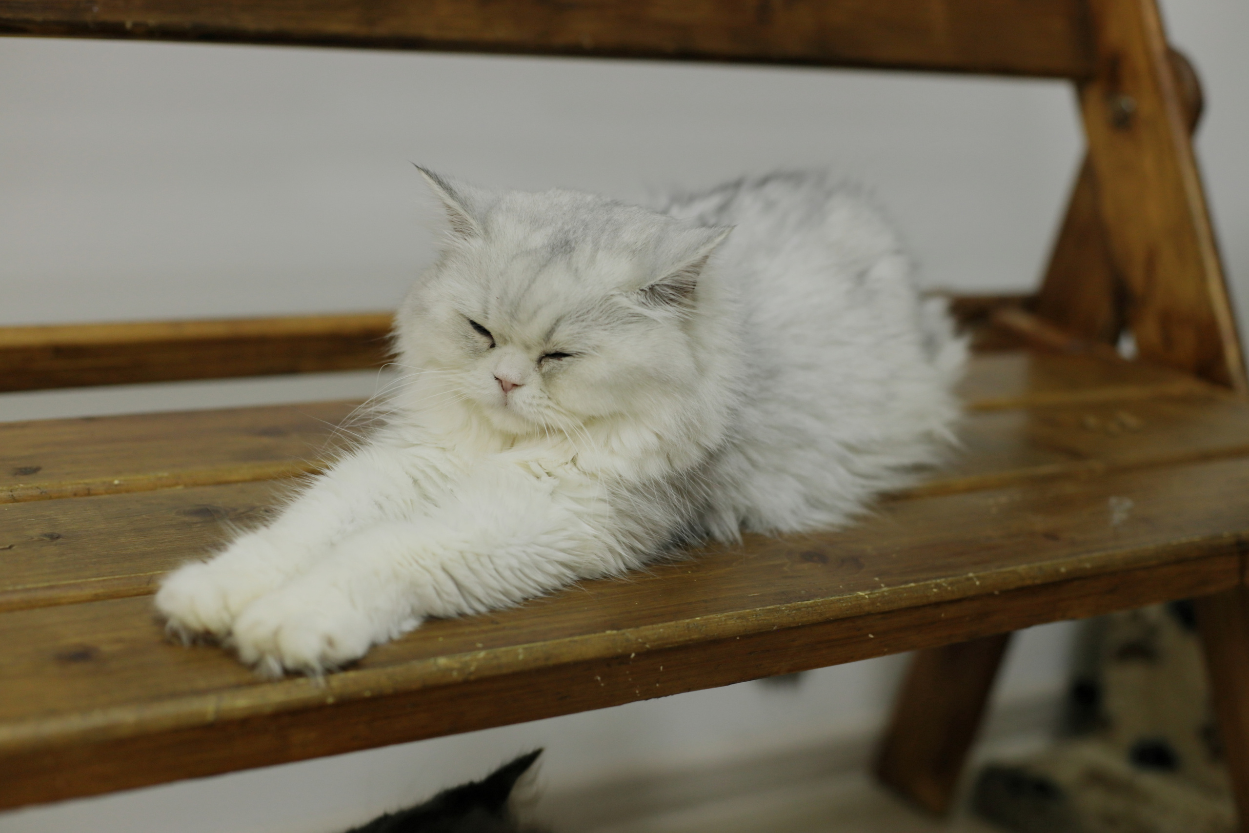 Отзывы довольных клиентов. Семейный фотограф и новорожденных в Старом Осколе Анна Старкова,