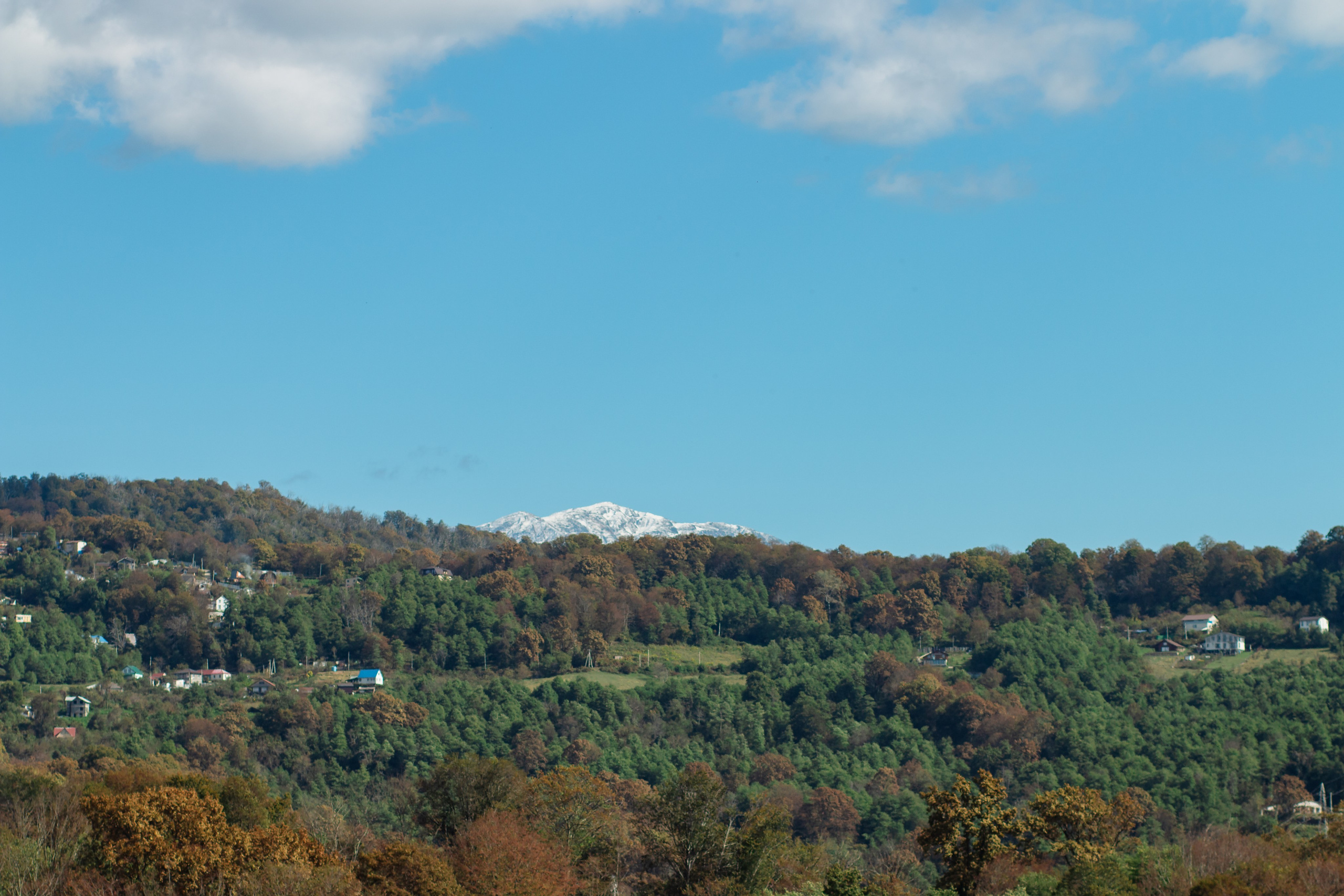 Маргуша сочи конный спорт