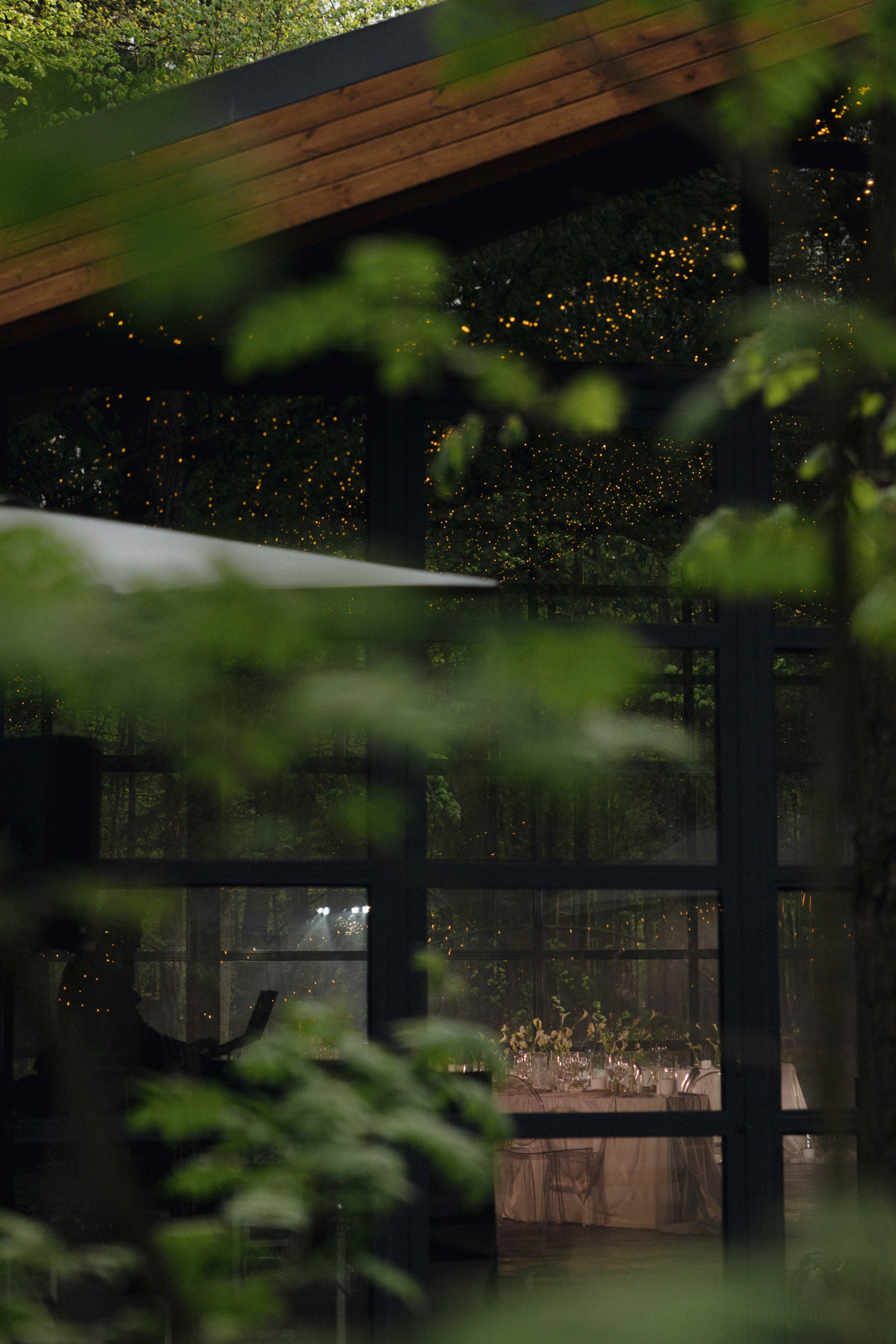 Владимир и Анжелика. Эстетичный свадебный репортаж в любом городе страны