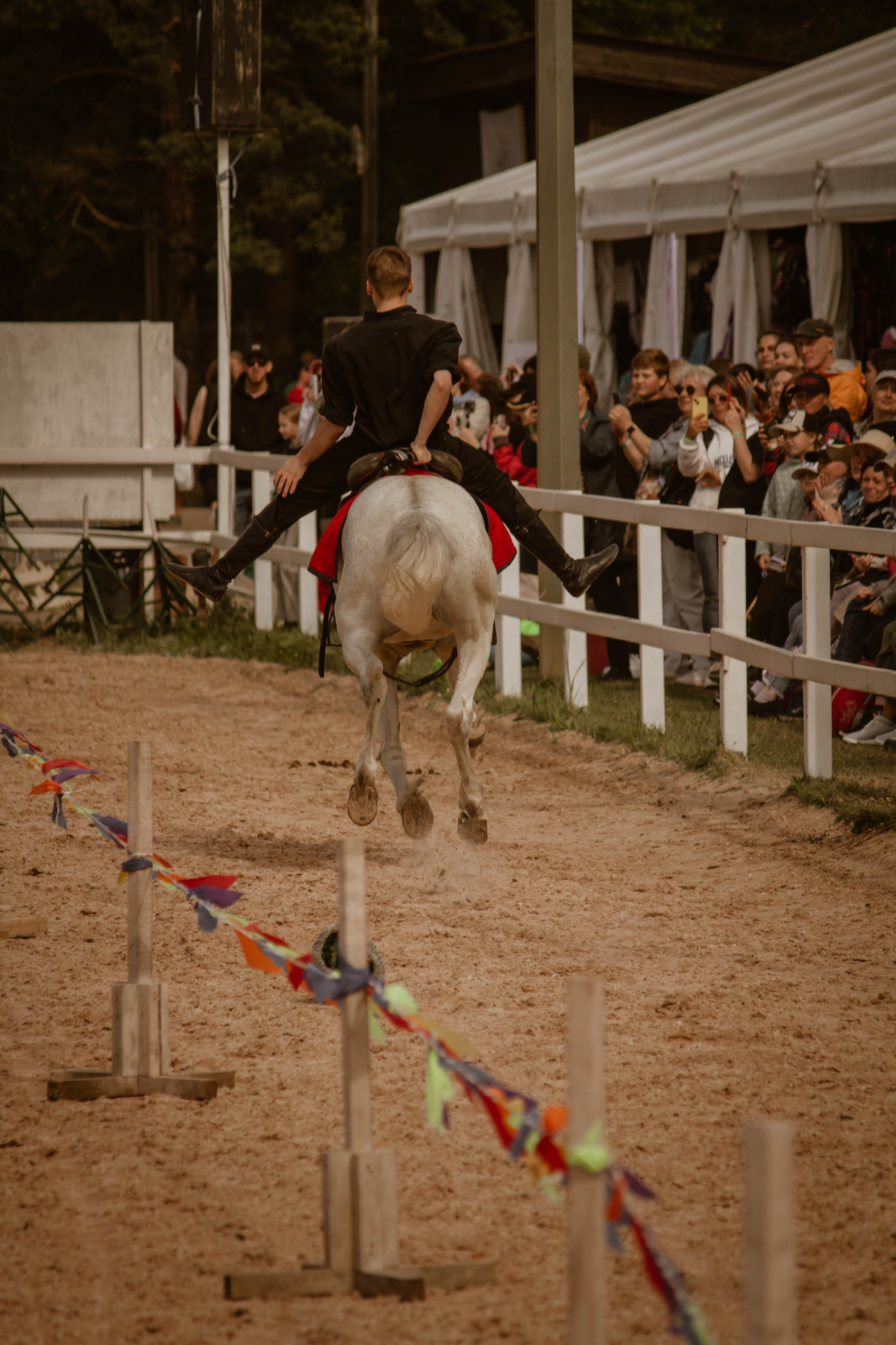 ИППОСФЕРА — Международная конная выставка. Создадим шедевр? Виталина и её фотоискусство