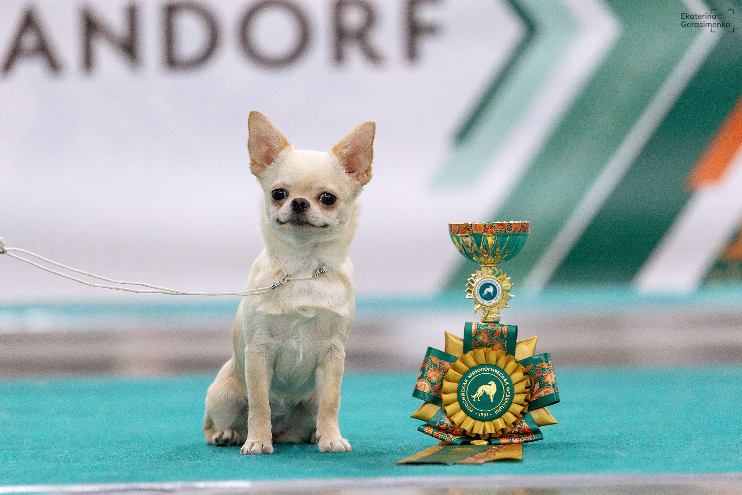 16–17 ноября 2024, Выставка ЕВРАЗИЯ, г. Москва. Htykk_photo