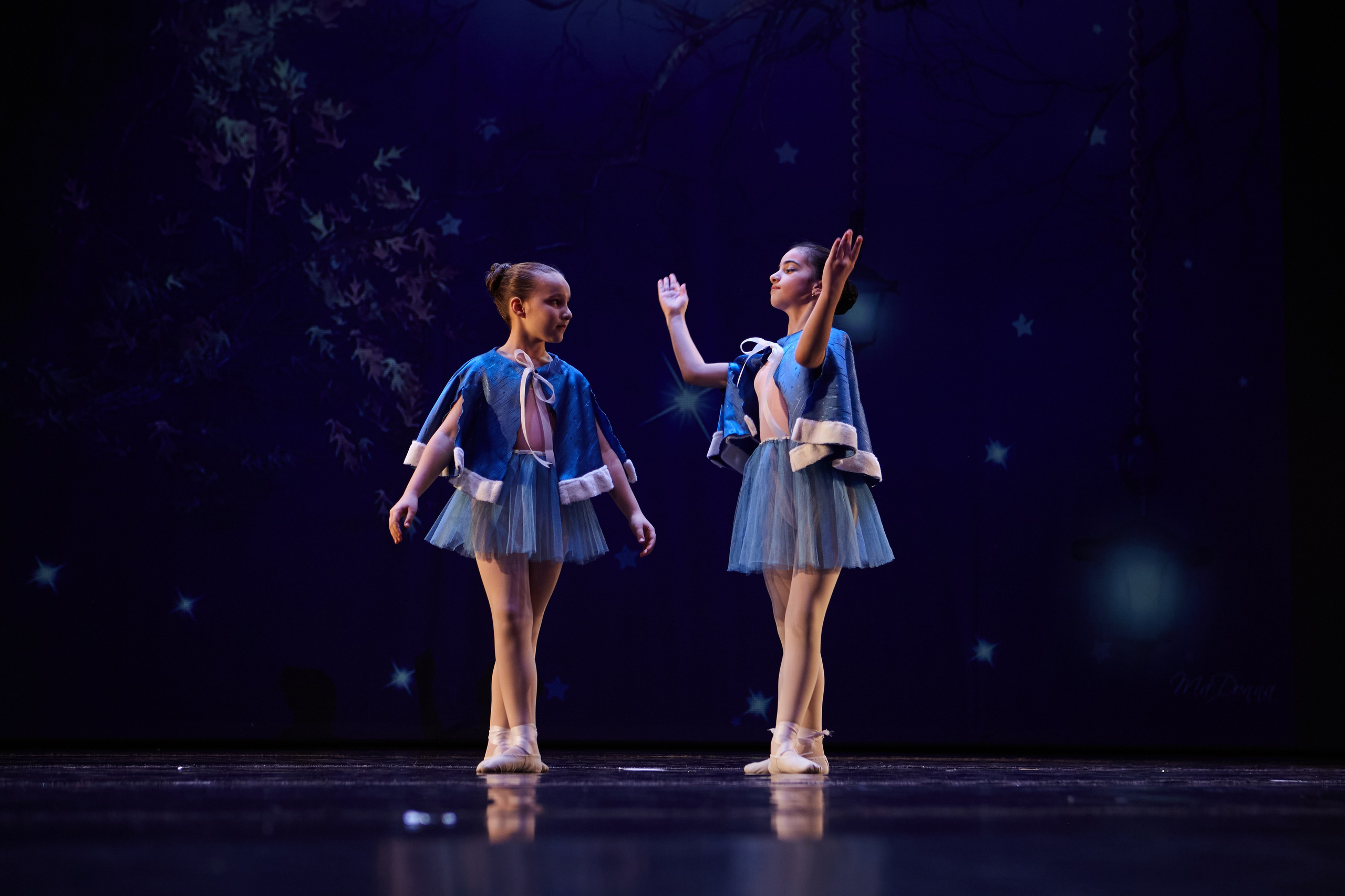 Концерты. Виолетта Скрипка