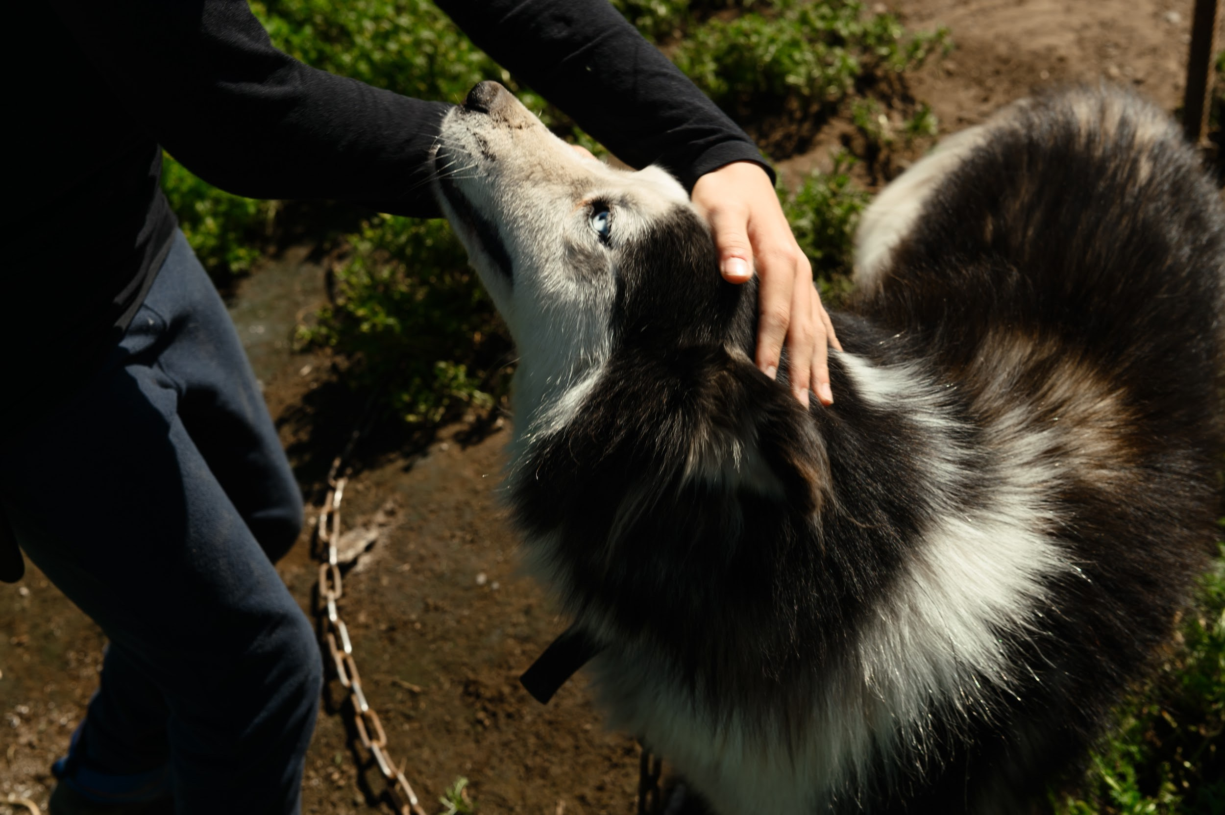 Камчатка 08.2024. Фотограф Марина Росси