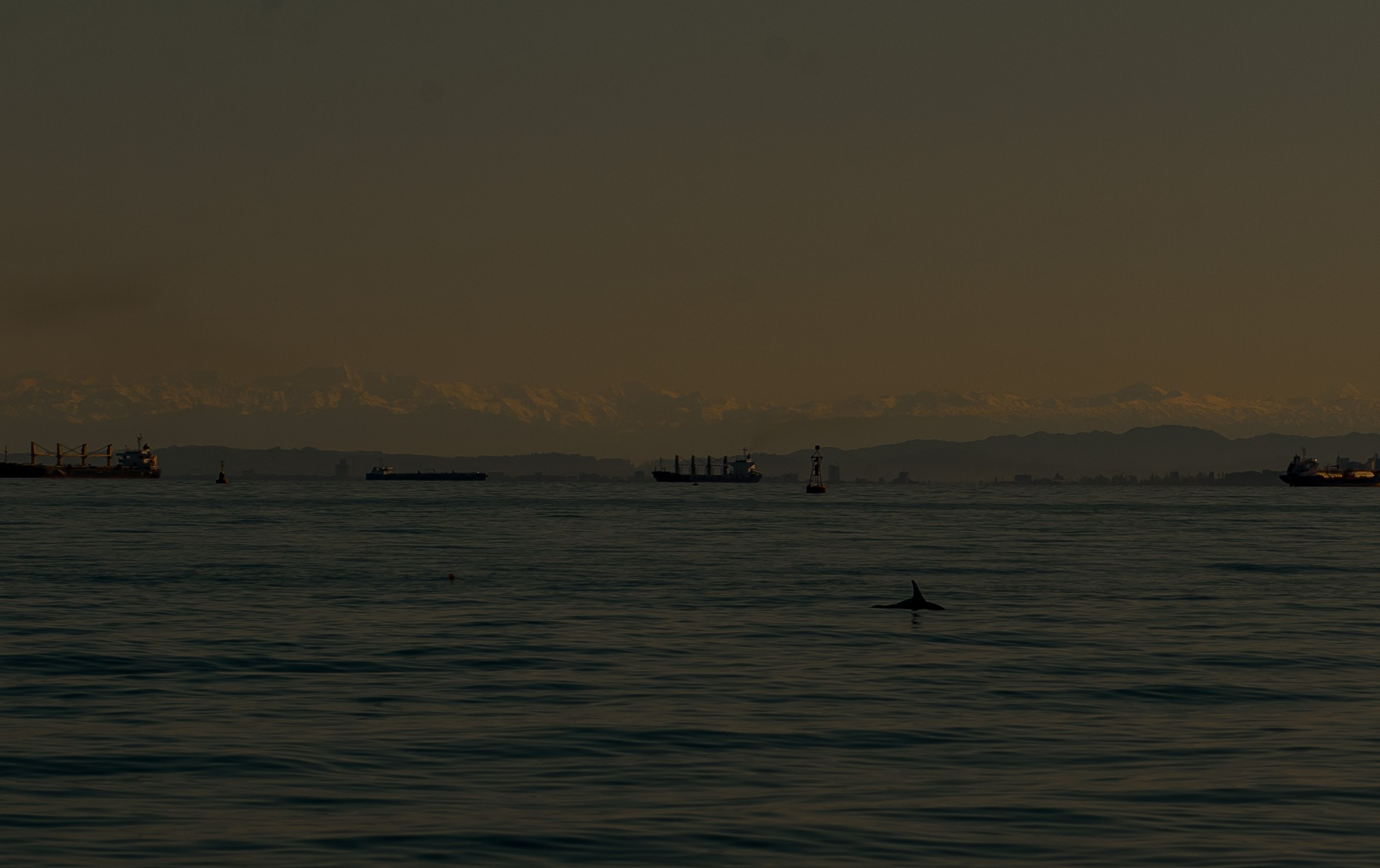 Georgia, Batumi. Art Photographer