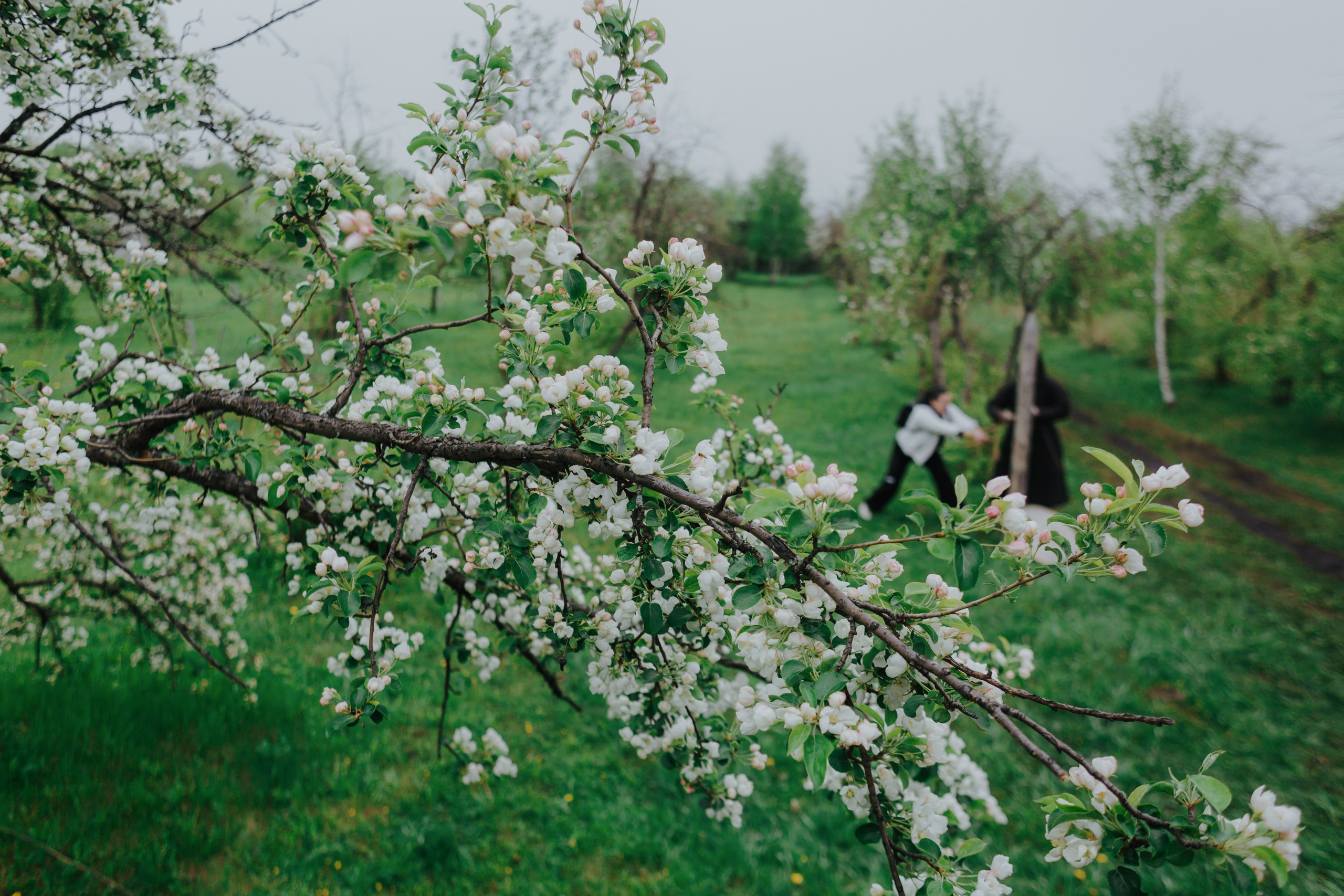 Исторический парк «Гардарика». Татьяна Журавлева