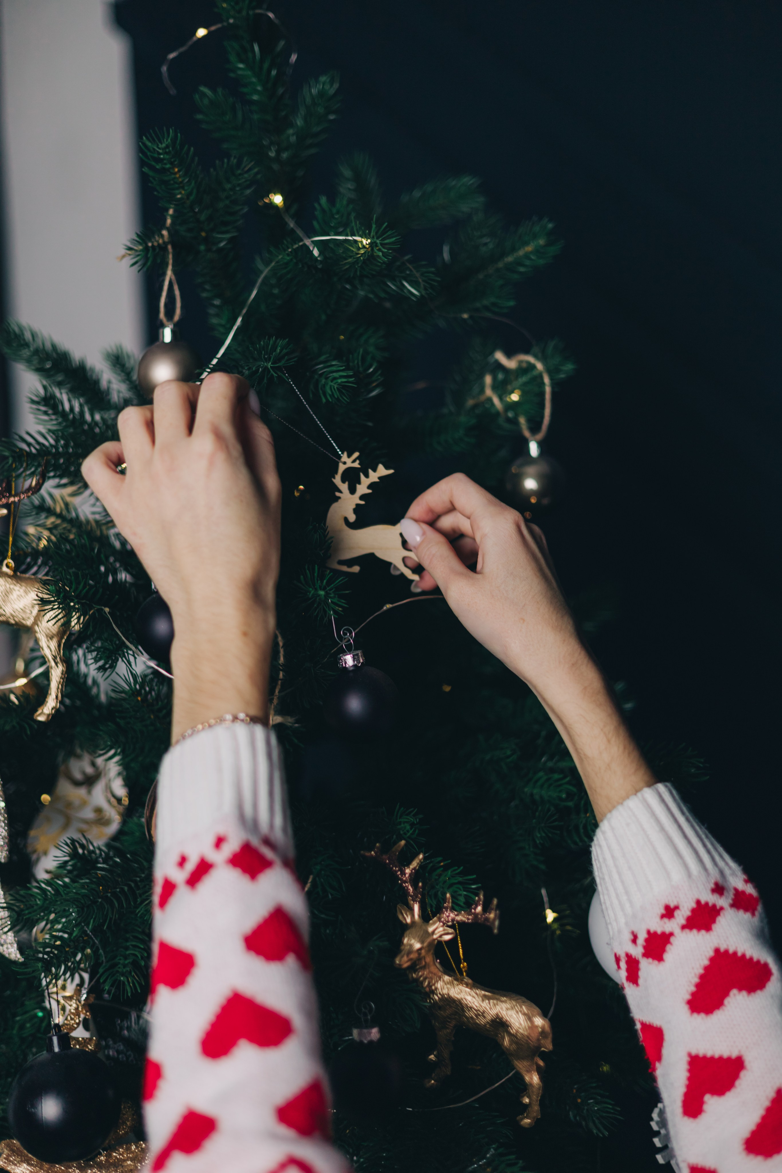 Алина и Динар. Фотограф Уфа