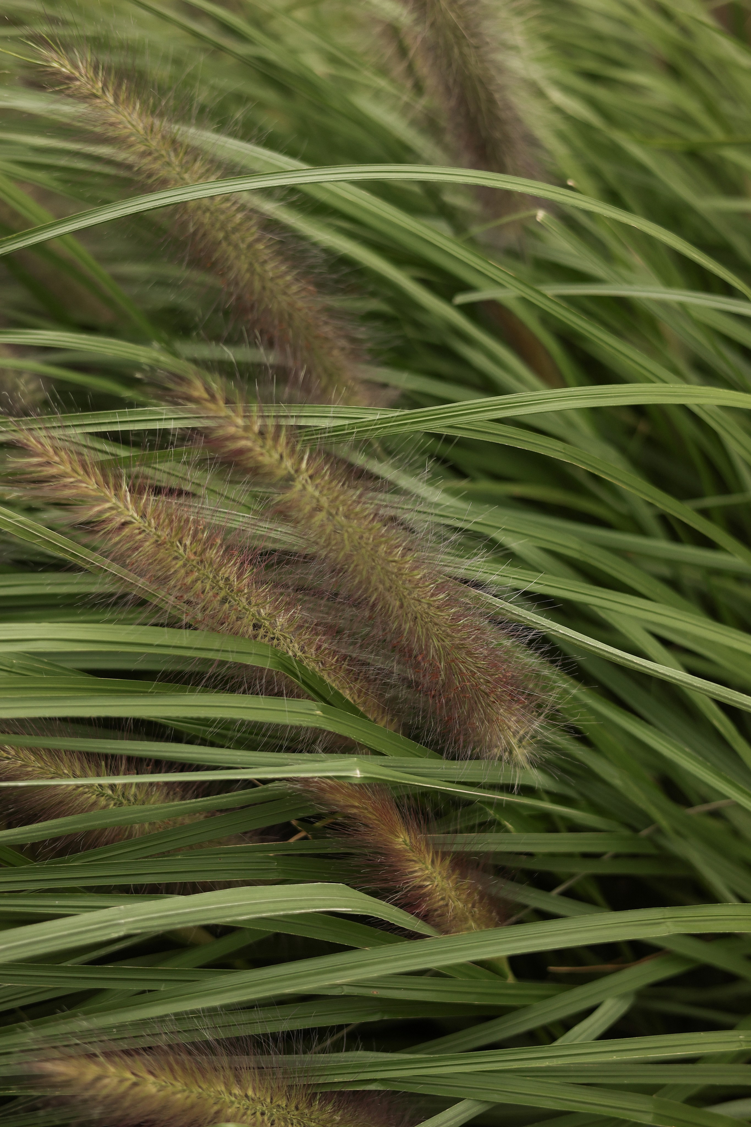 Валерия и Владислав. Фотограф Волгоград / Волжский