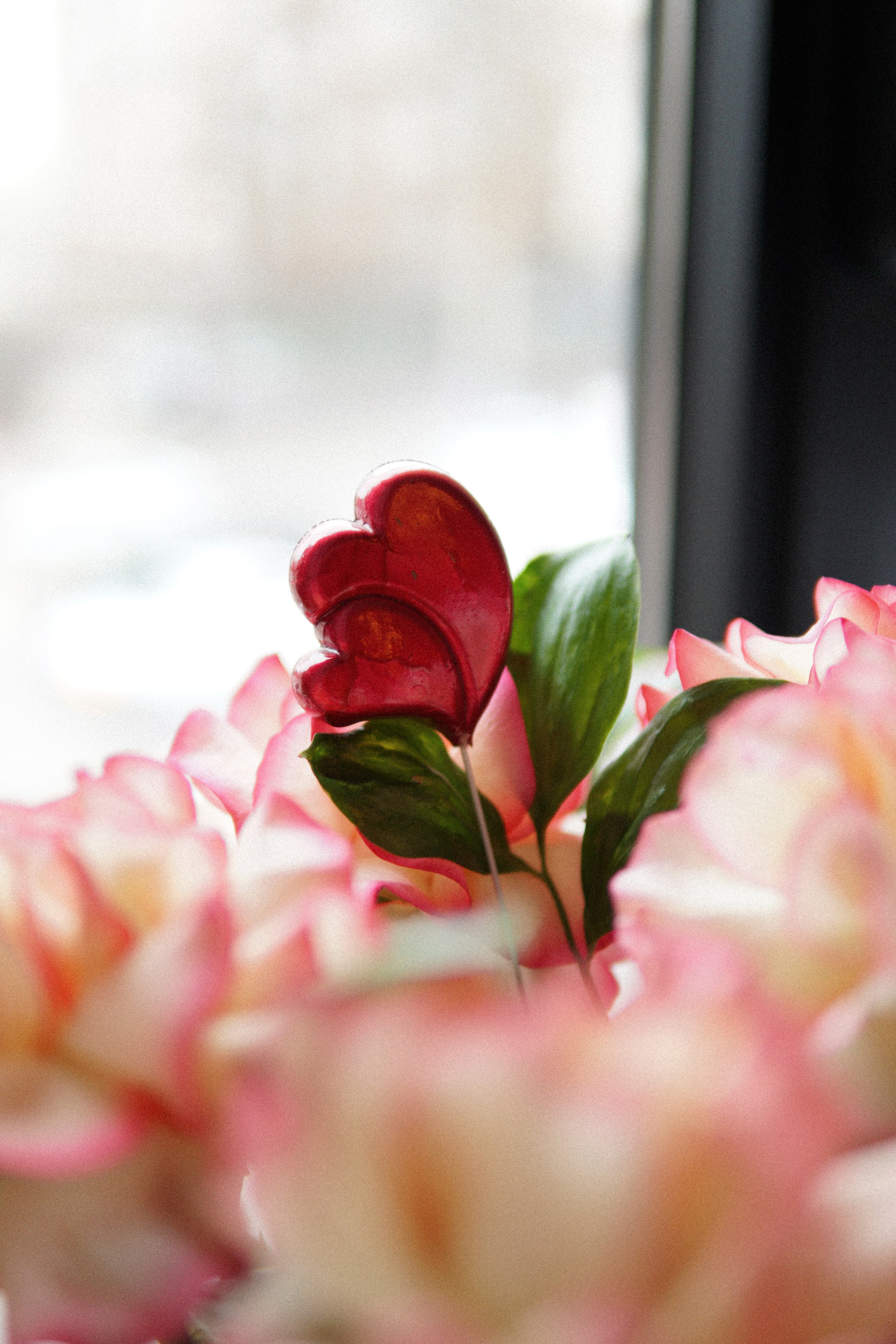 Геннадий и Присцила. Свадебный фотограф в Ростове-на-Дону. Фотограф в Ростове-на-Дону Марина Мальцева