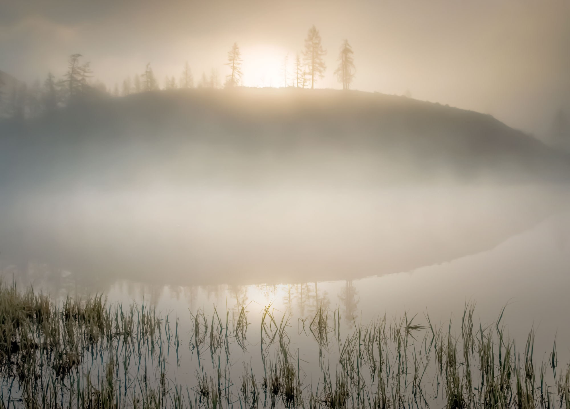 Свадебный фотограф в Геленджике