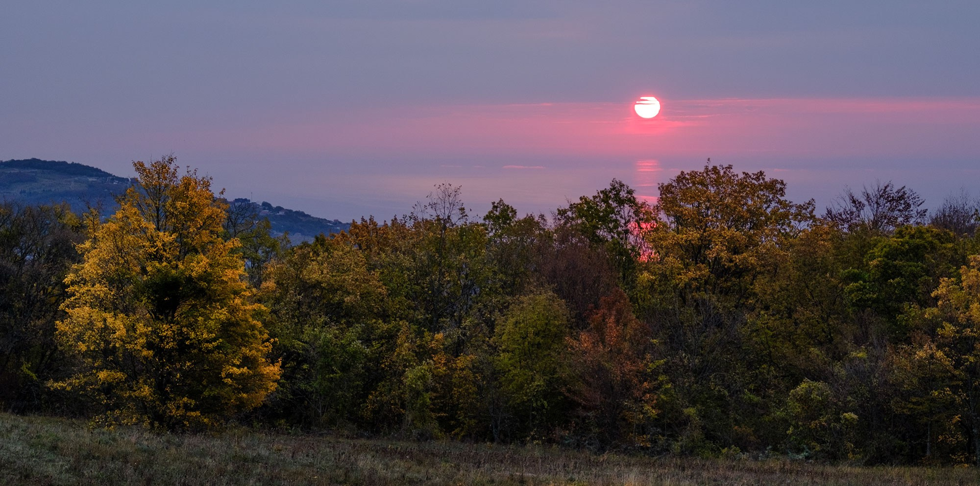 «Золотая осень в Крыму 2025»