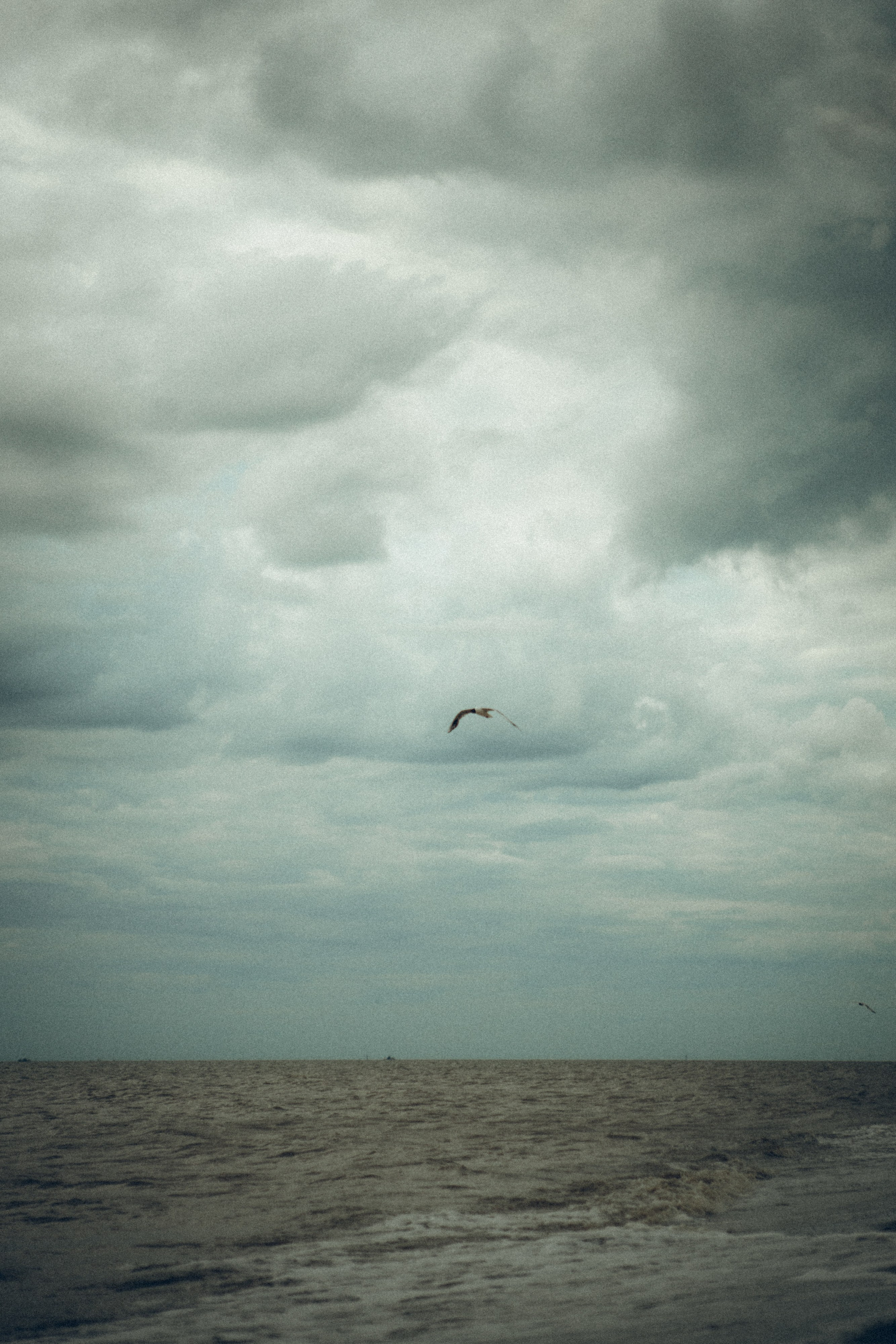 Ира. Семейный фотограф и фотограф на роды в Ростове-на-Дону Мухина Виктория