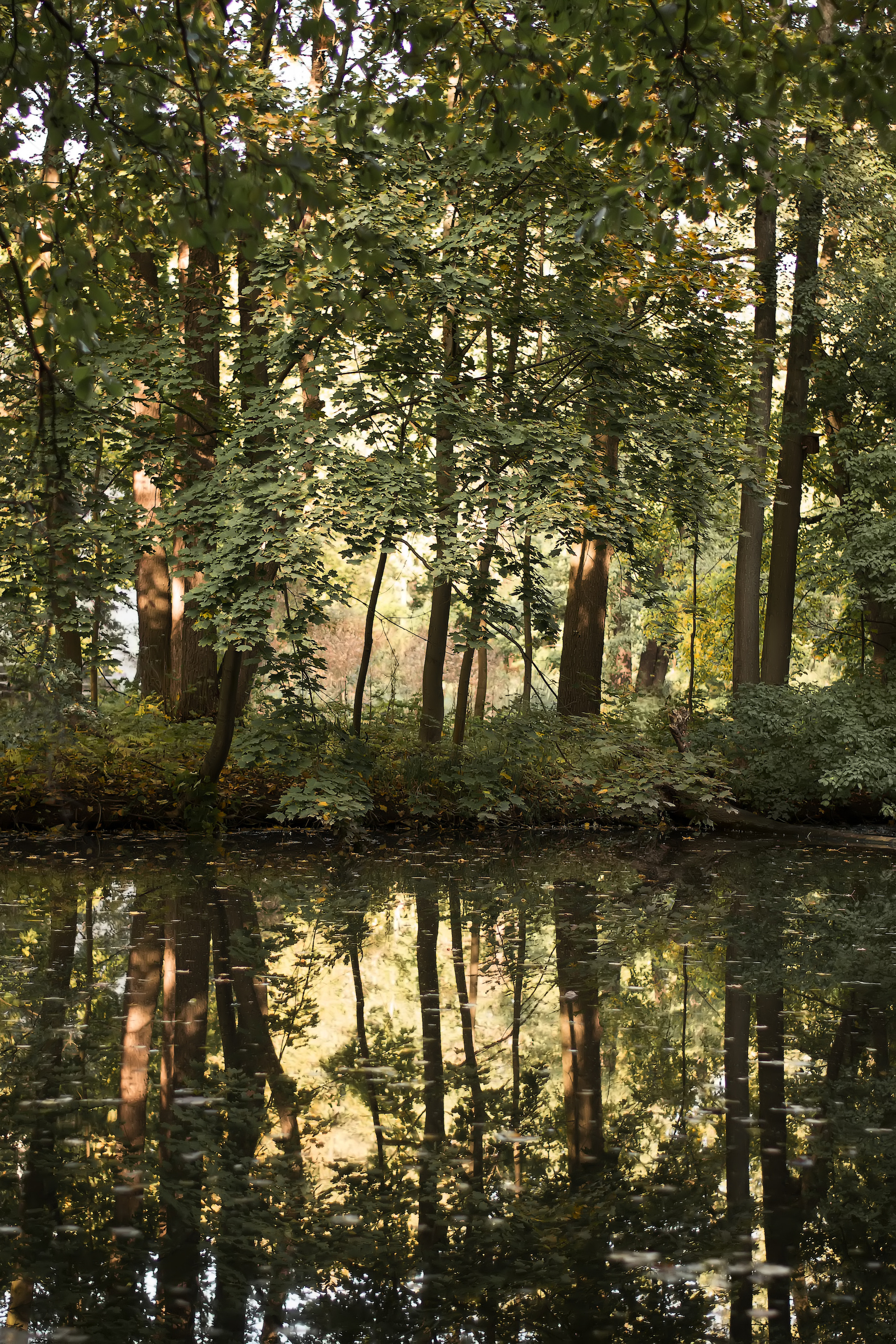 Семья как история поколений. Фотограф • Фототерапевт г. Москва