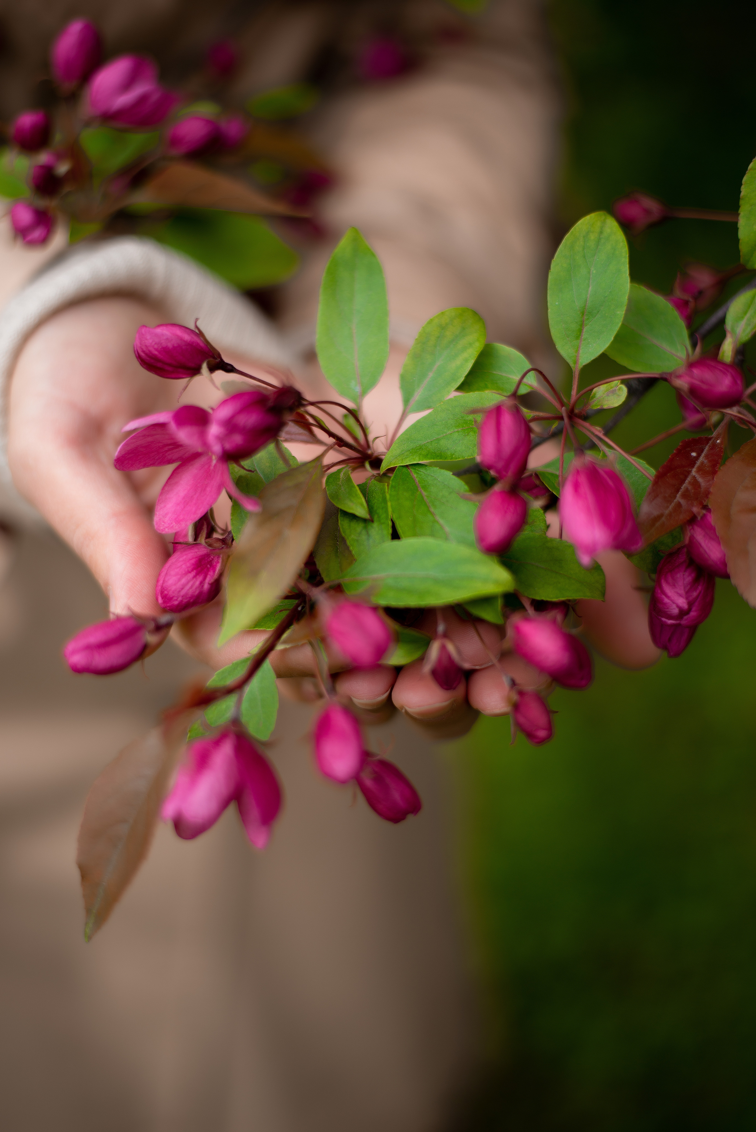 Фотодни цветение. Фотограф • Фототерапевт г. Москва