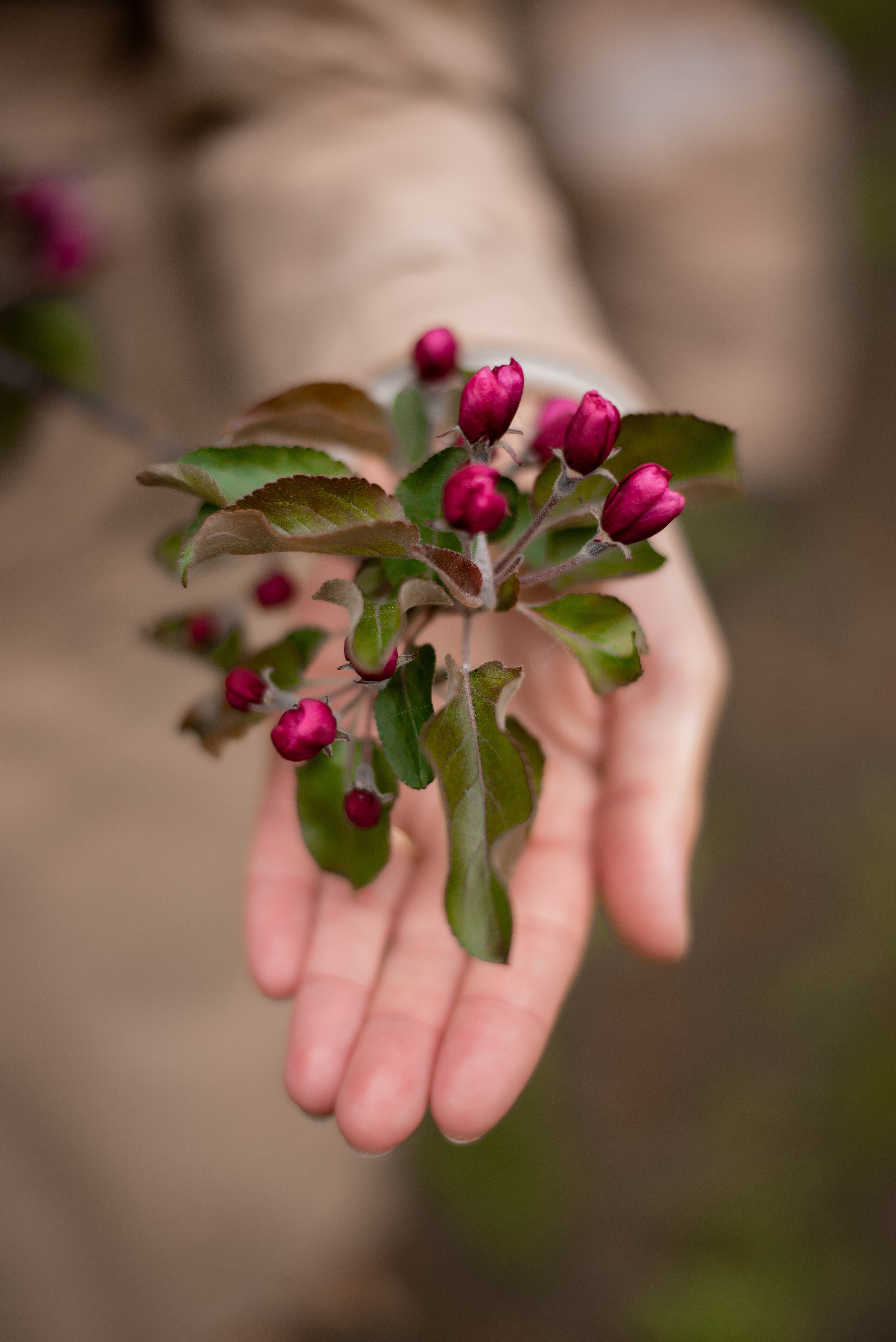 Фотодни цветение. Фотограф • Фототерапевт г. Москва