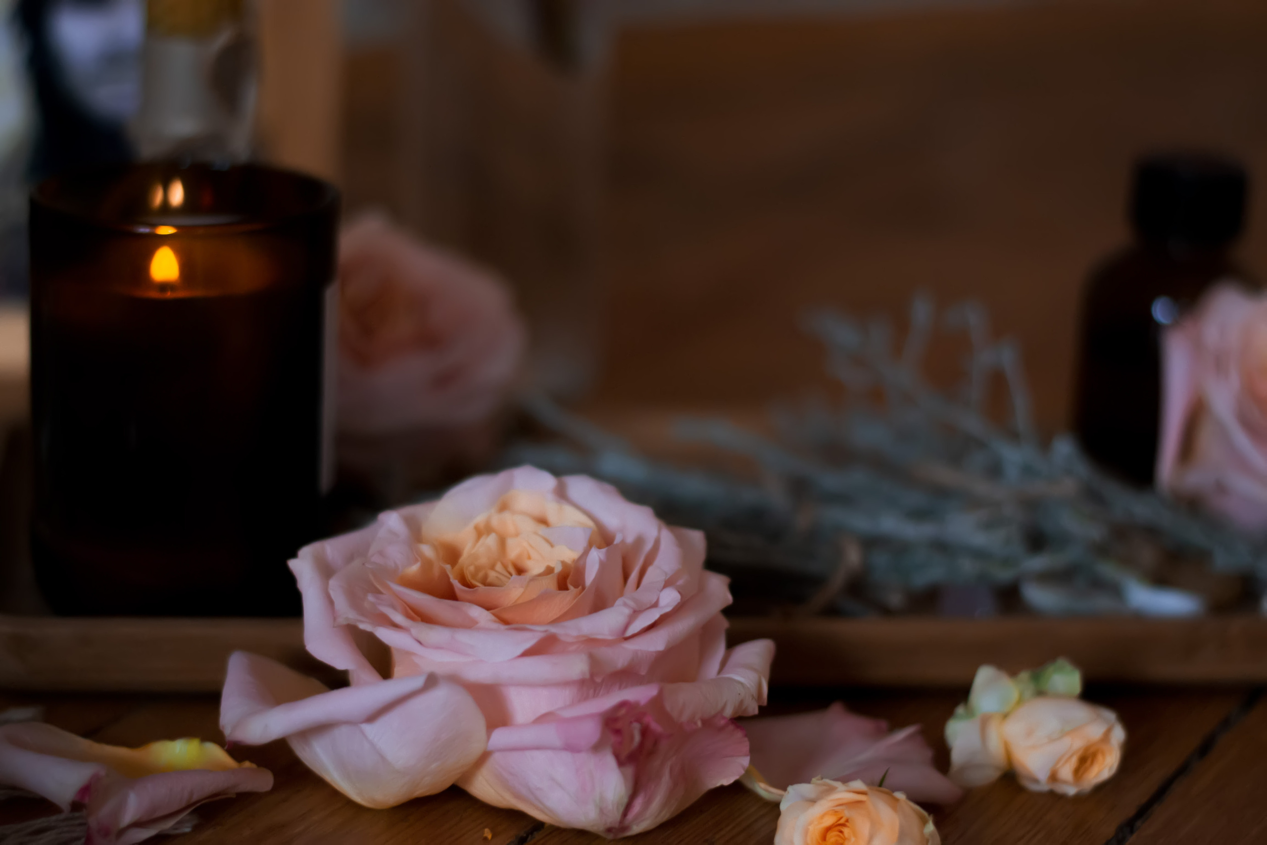 Фотограф • Фототерапевт г. Москва