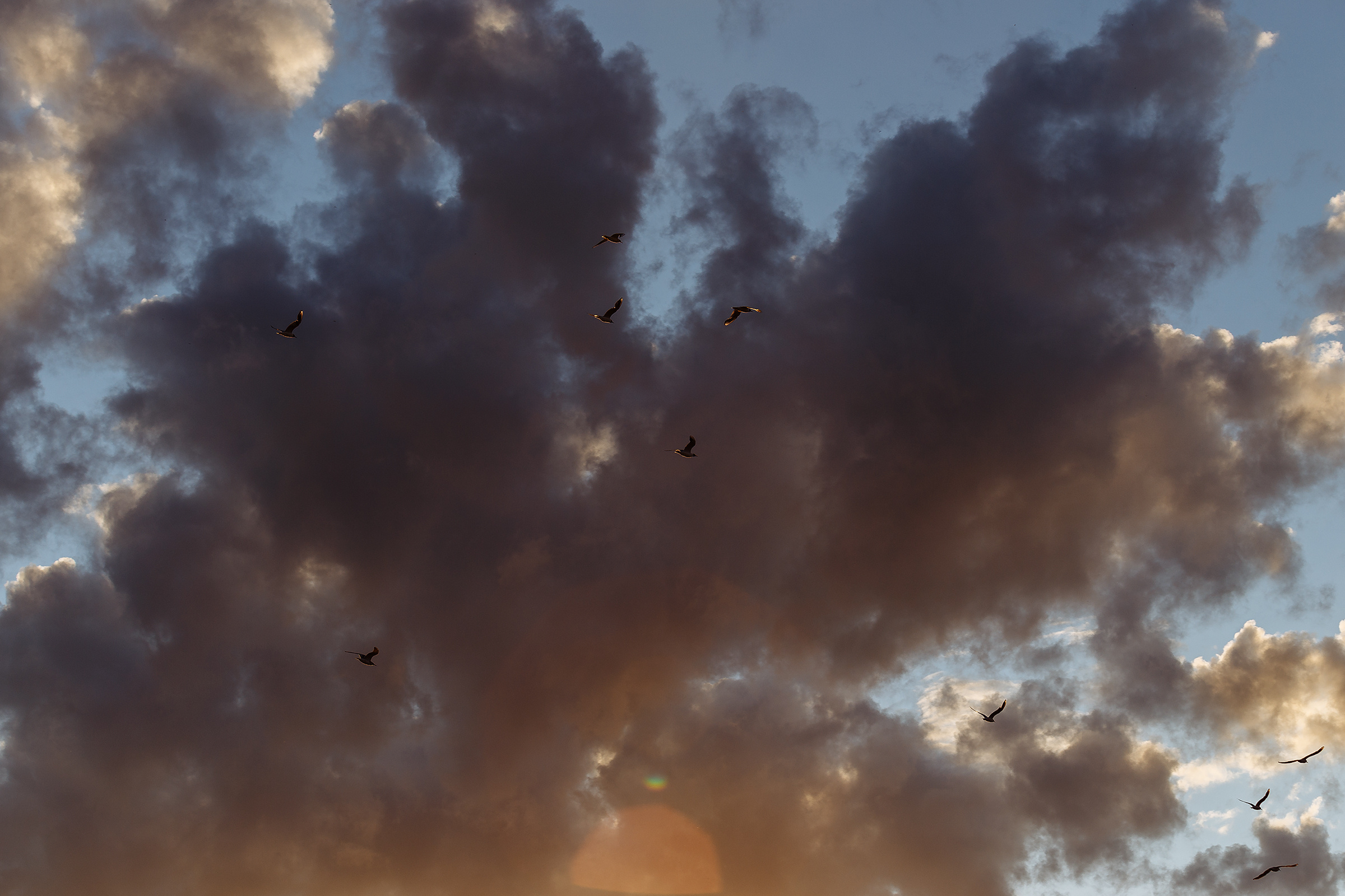 Оля и Паша. Свадебный фотограф в Самаре и Тольятти Полина Никитина