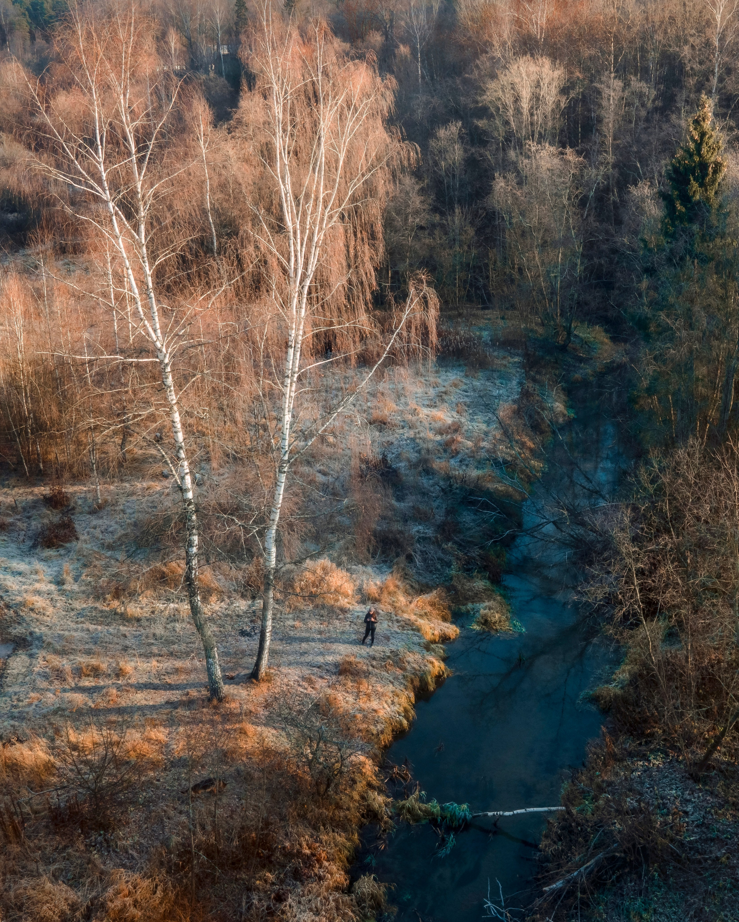 Архитектура. Пейзаж. Детская Конная фотография в Москве Юлия Шепелева