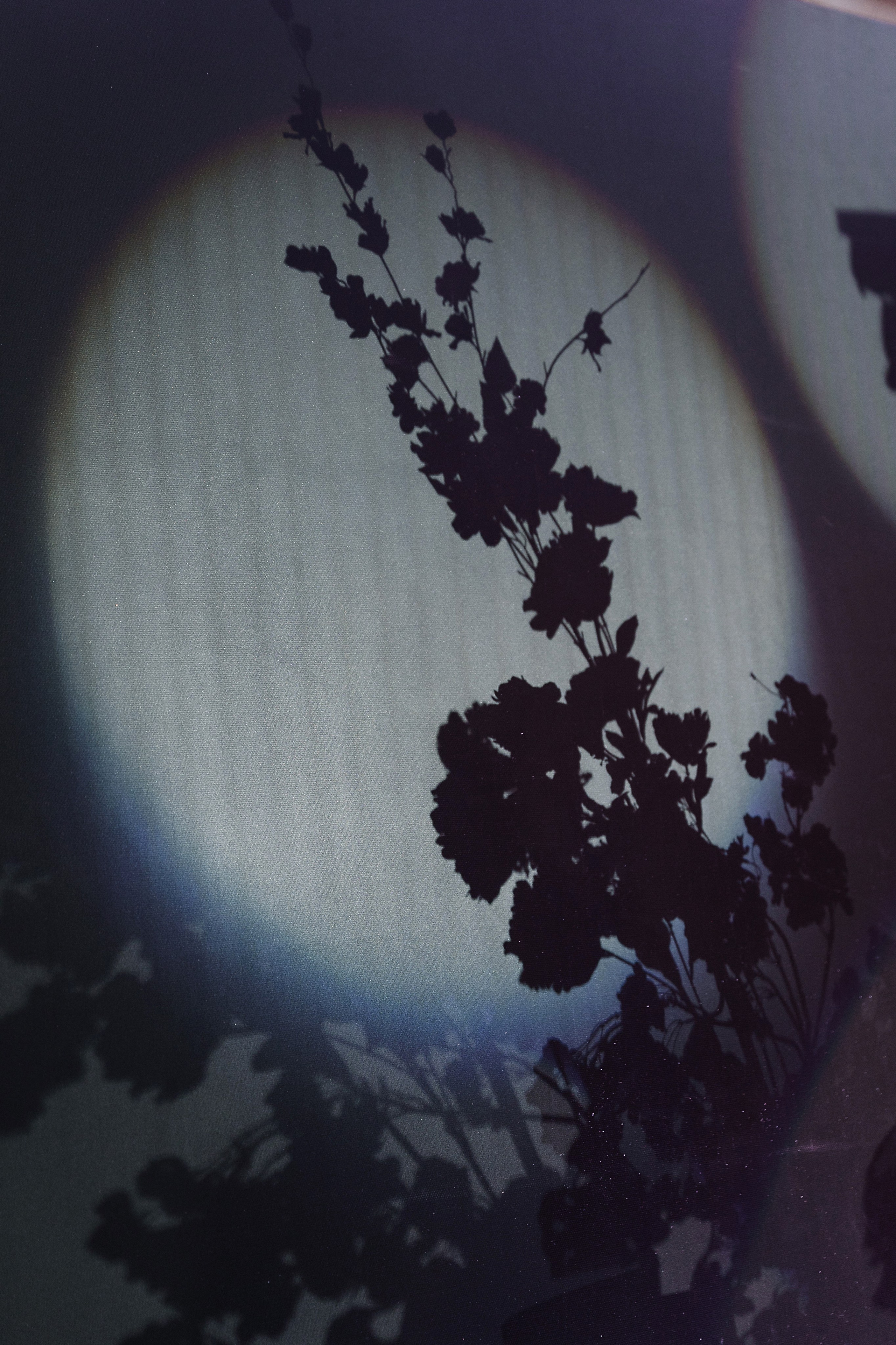 Путь любви. Семейный и свадебный фотограф в Туле Москве