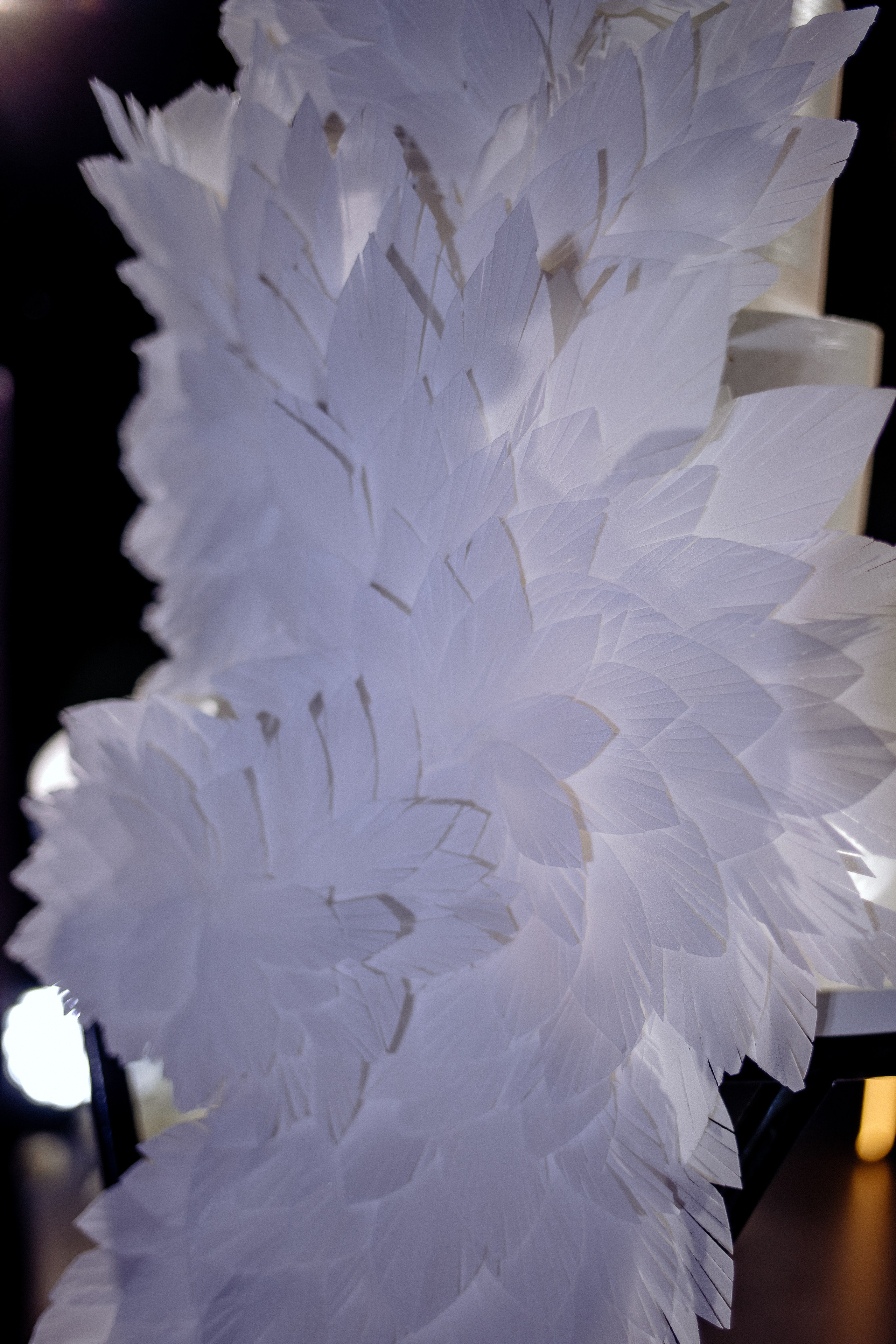 Никита и Ксения. Свадебный фотограф в Саратове Симашова Ирина