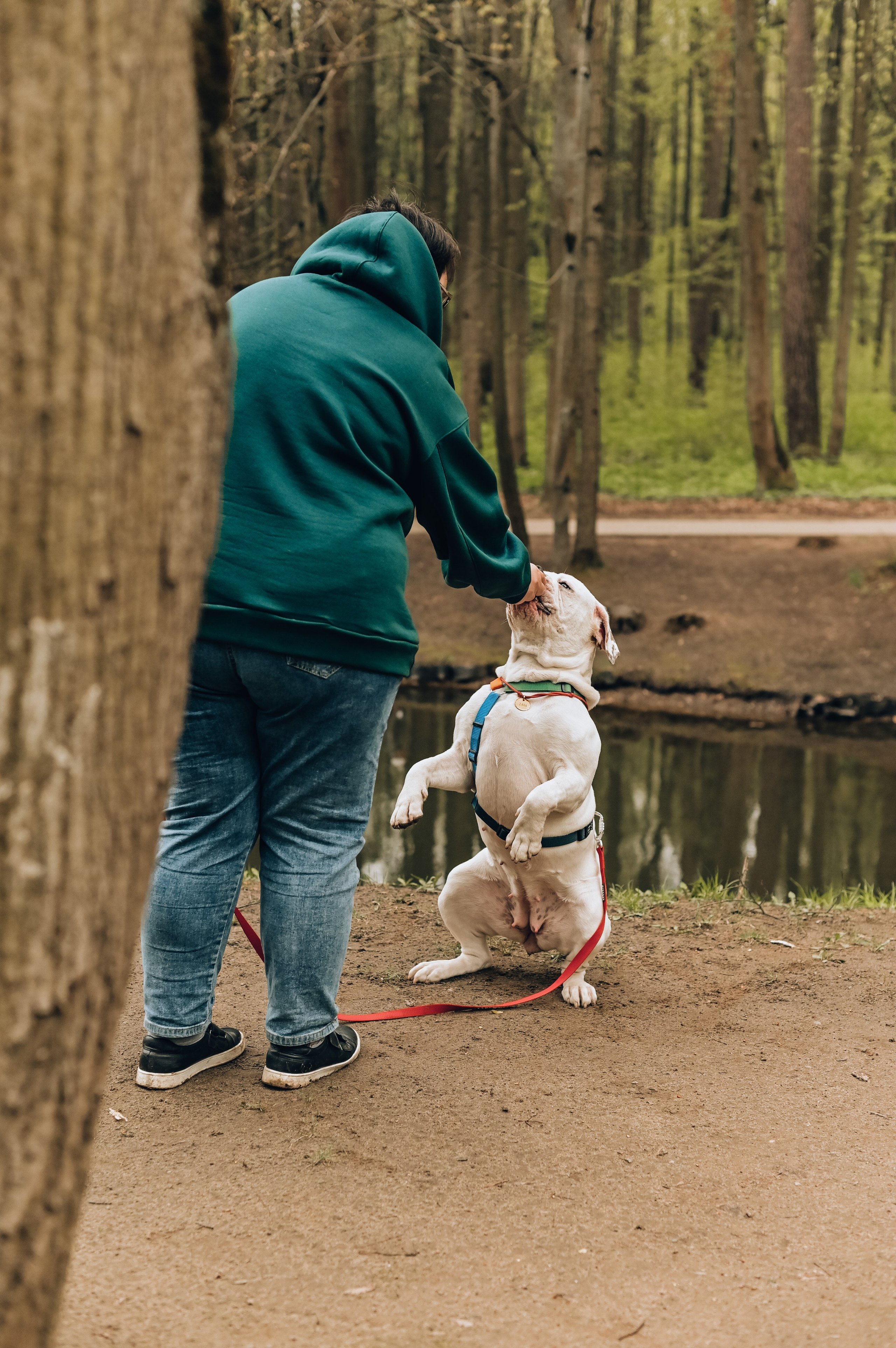Занятие с кинологом. Семейный и репортажный фотограф в Москве Анастасия Трубкина