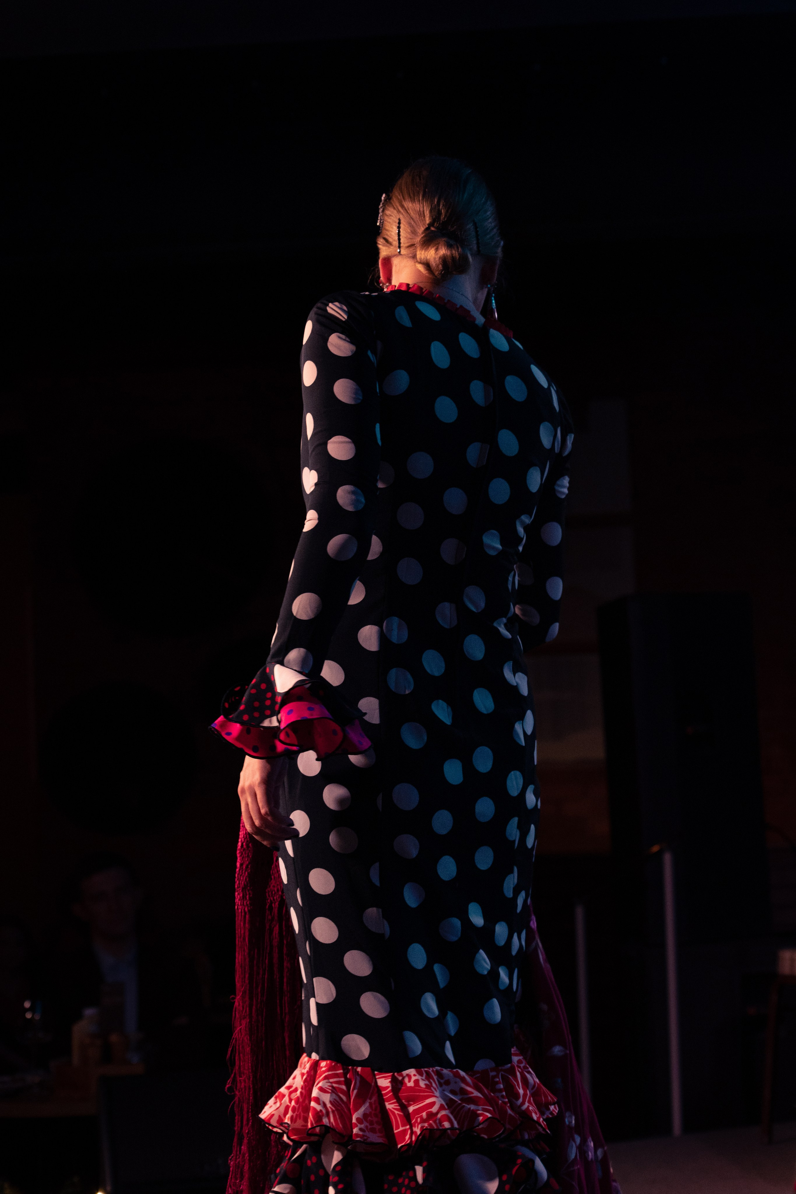 Flamenco 02.01.2025. Индивидуальные съемки, портретный фотограф