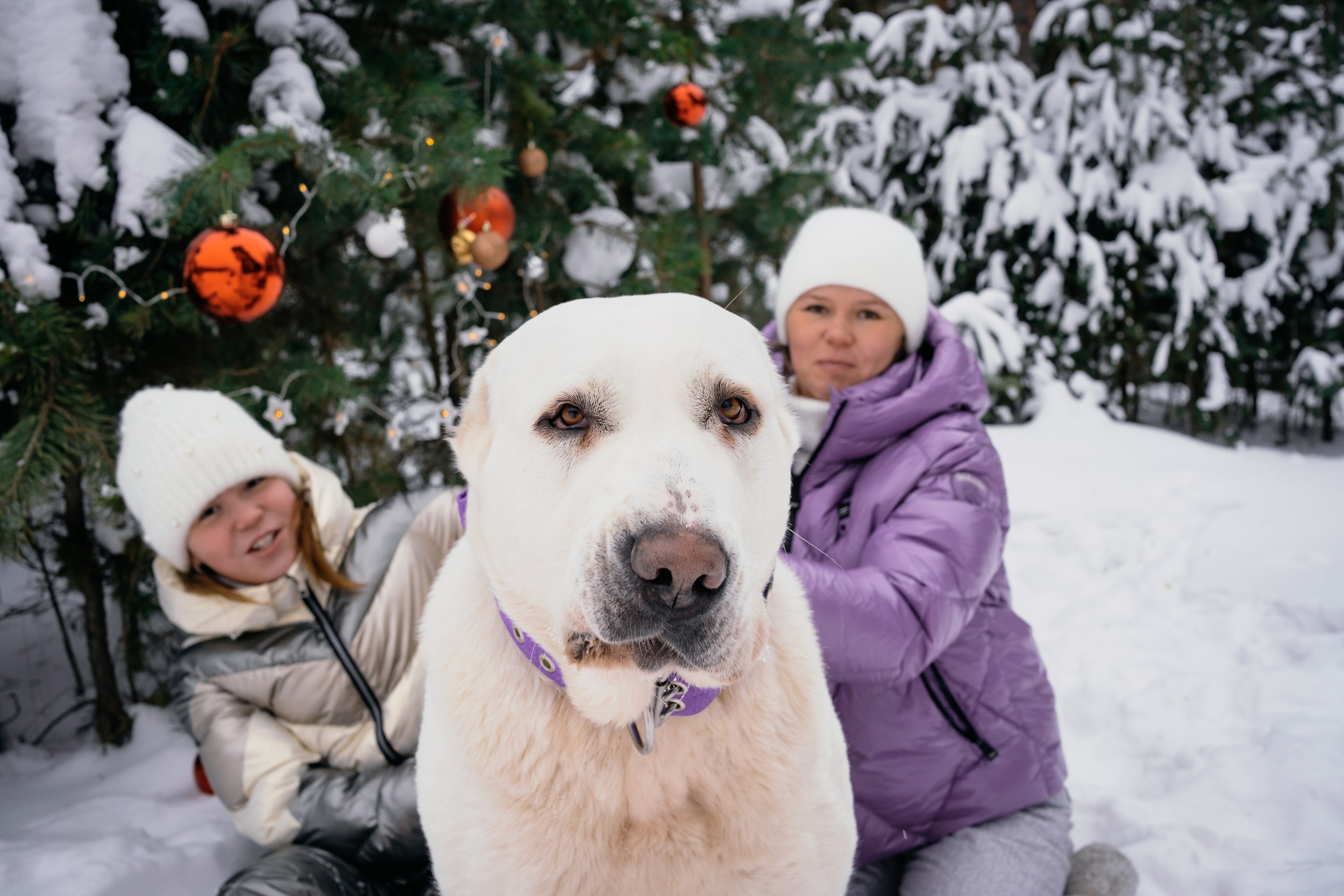 Г. Миасс 2023-2024. Фотограф-анималист Анастасия Большакова