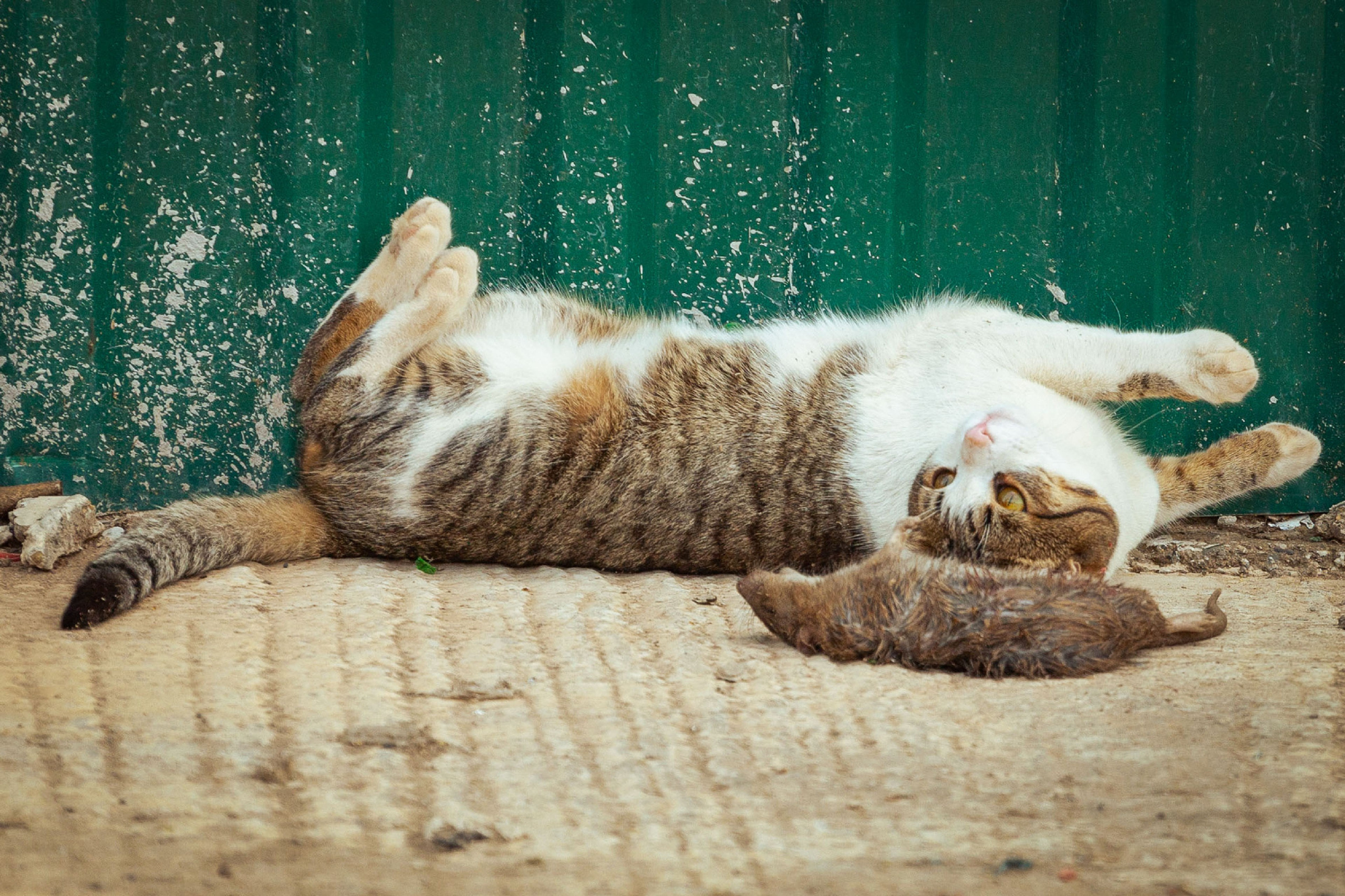 Анализ ижевского полигона ТБО [10-11 августа 2021 г.]. Фотограф Виноградов Константин