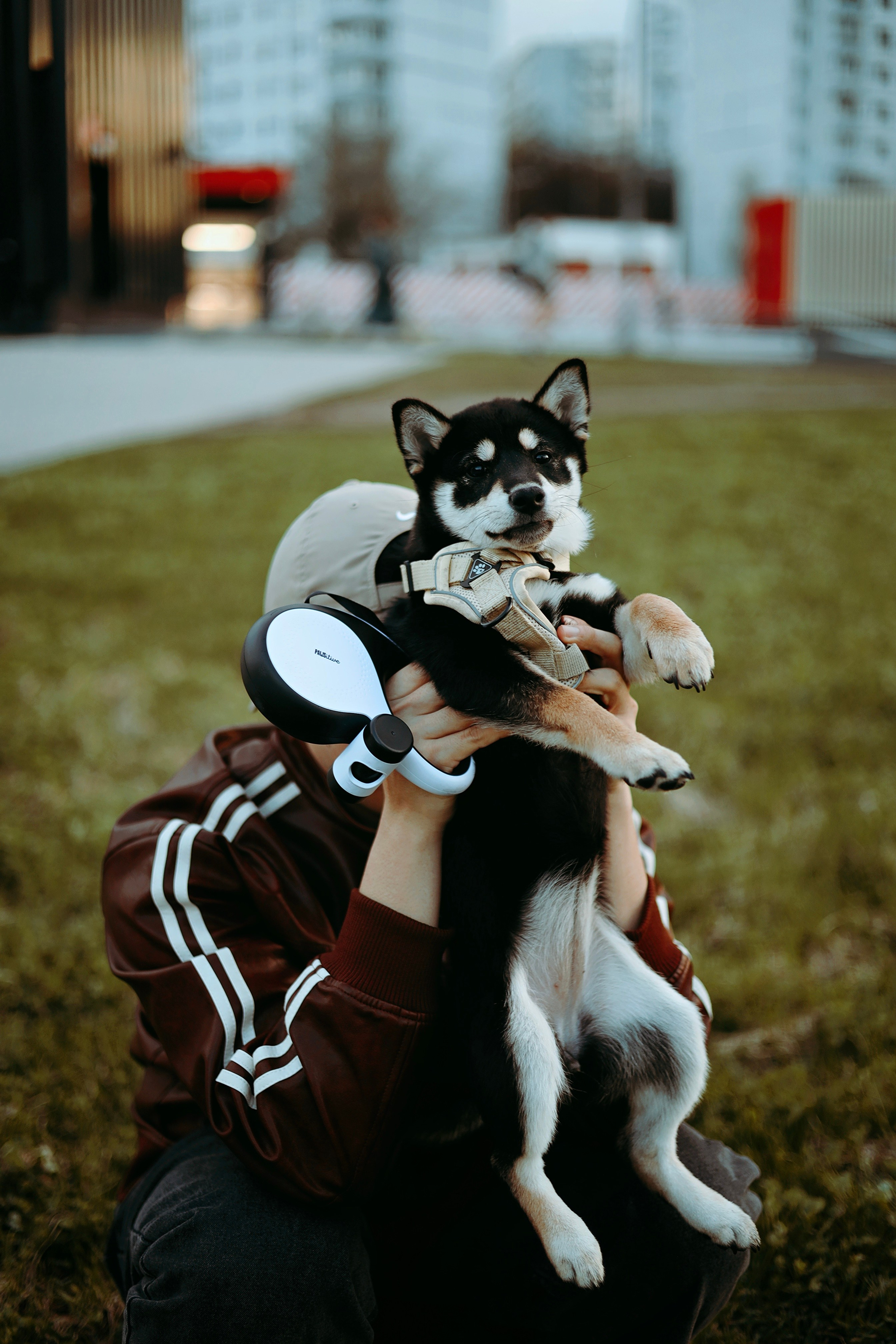 Puppy. Фотосессии в Москве и Санкт-Петербурге, а также по столицам стран Евро