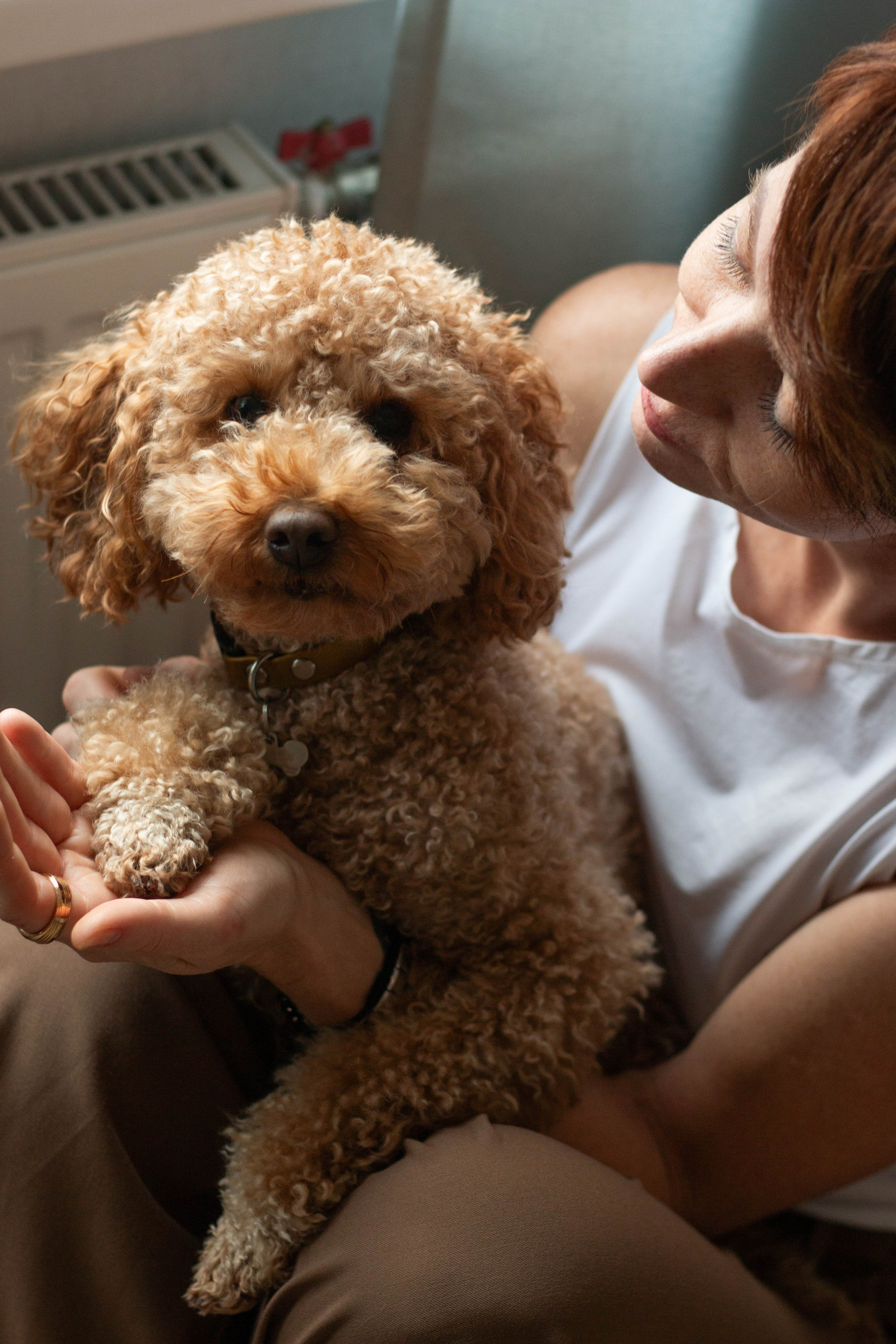 Olga & Eric. Бережно сохраняю ваши чувства и истории на своих фотографиях