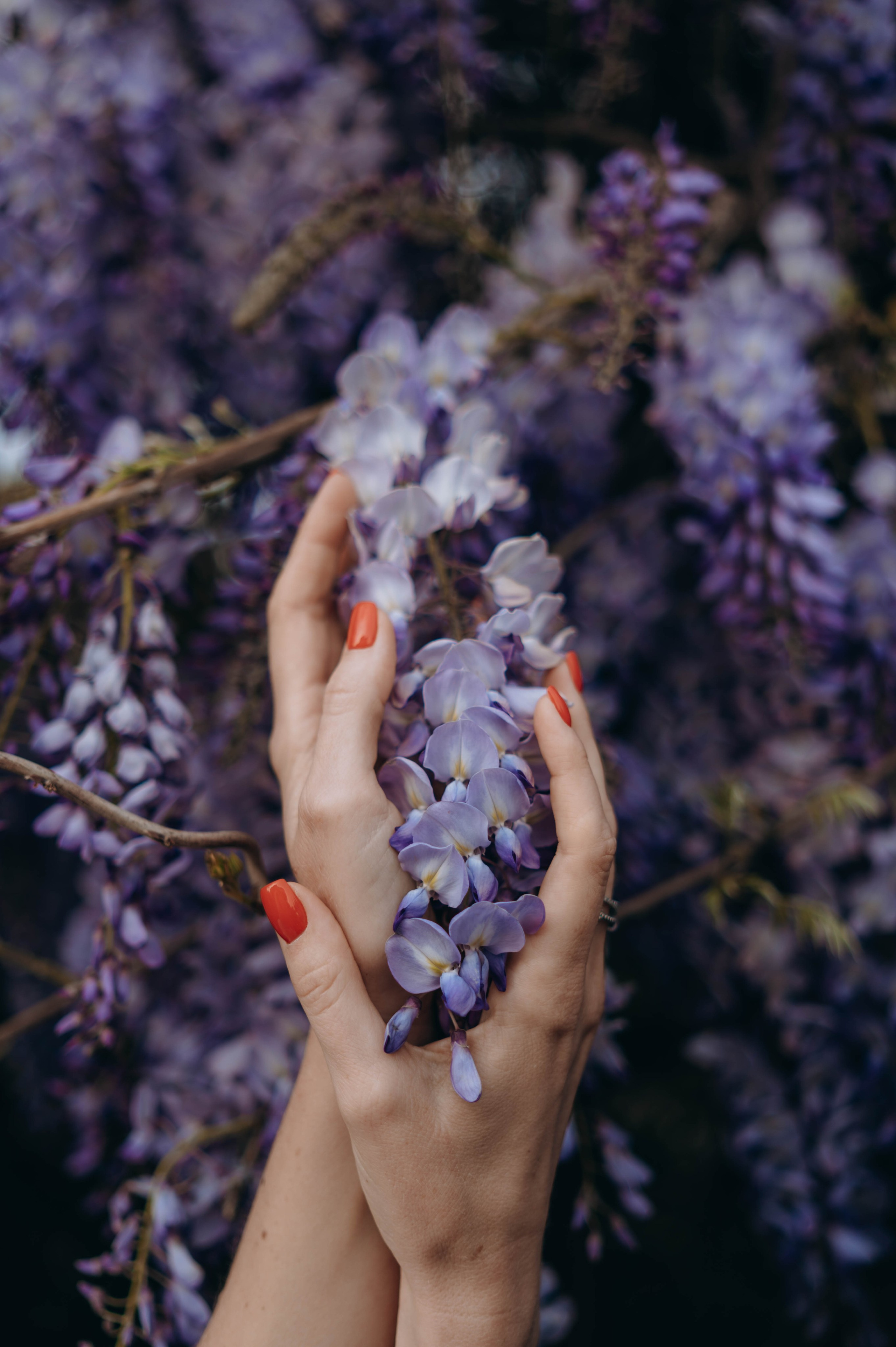 Ангелина. Фотограф Сочи Кисматова Анастасия